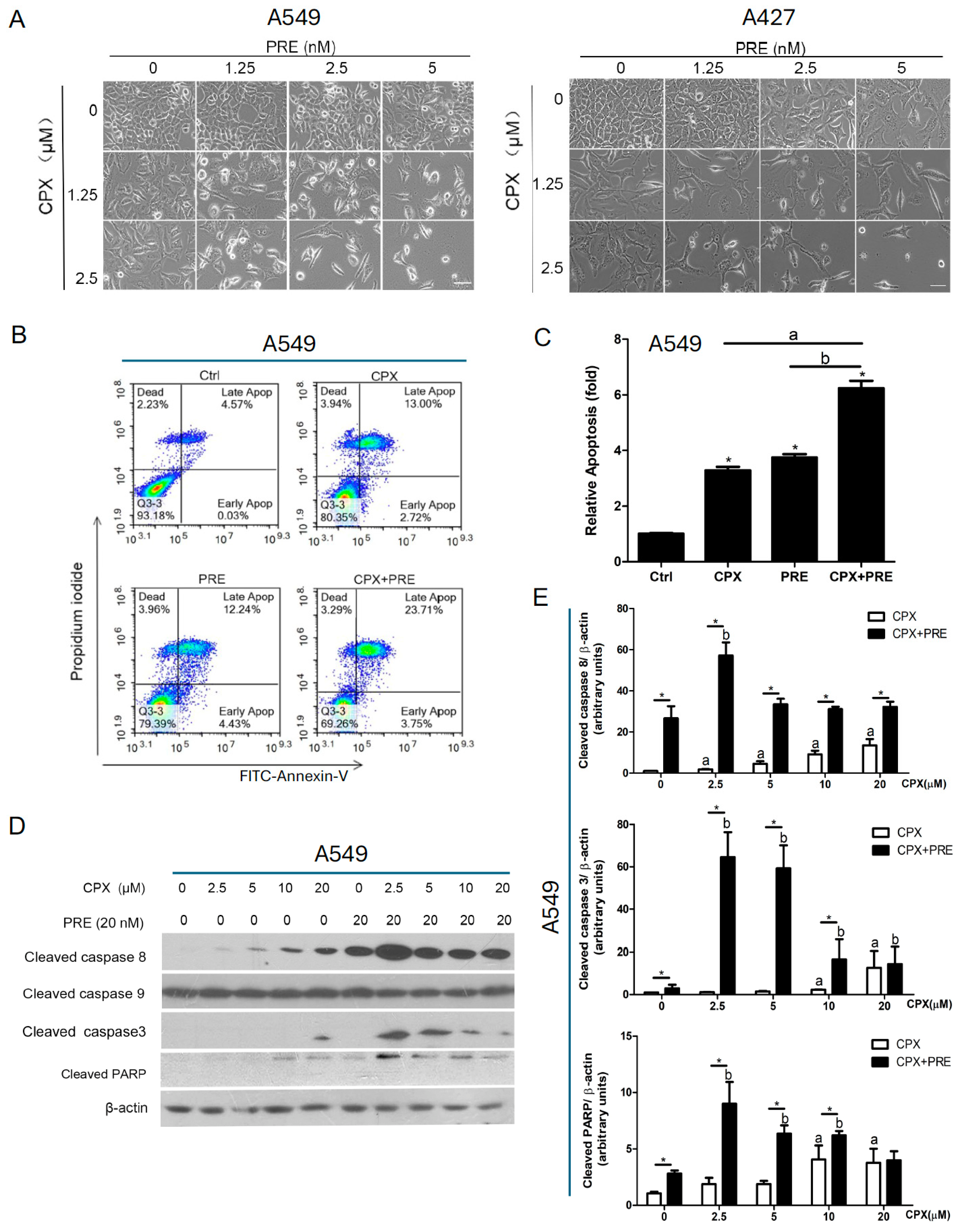 Cells 13 01752 g005 Cells 13 01752 g005