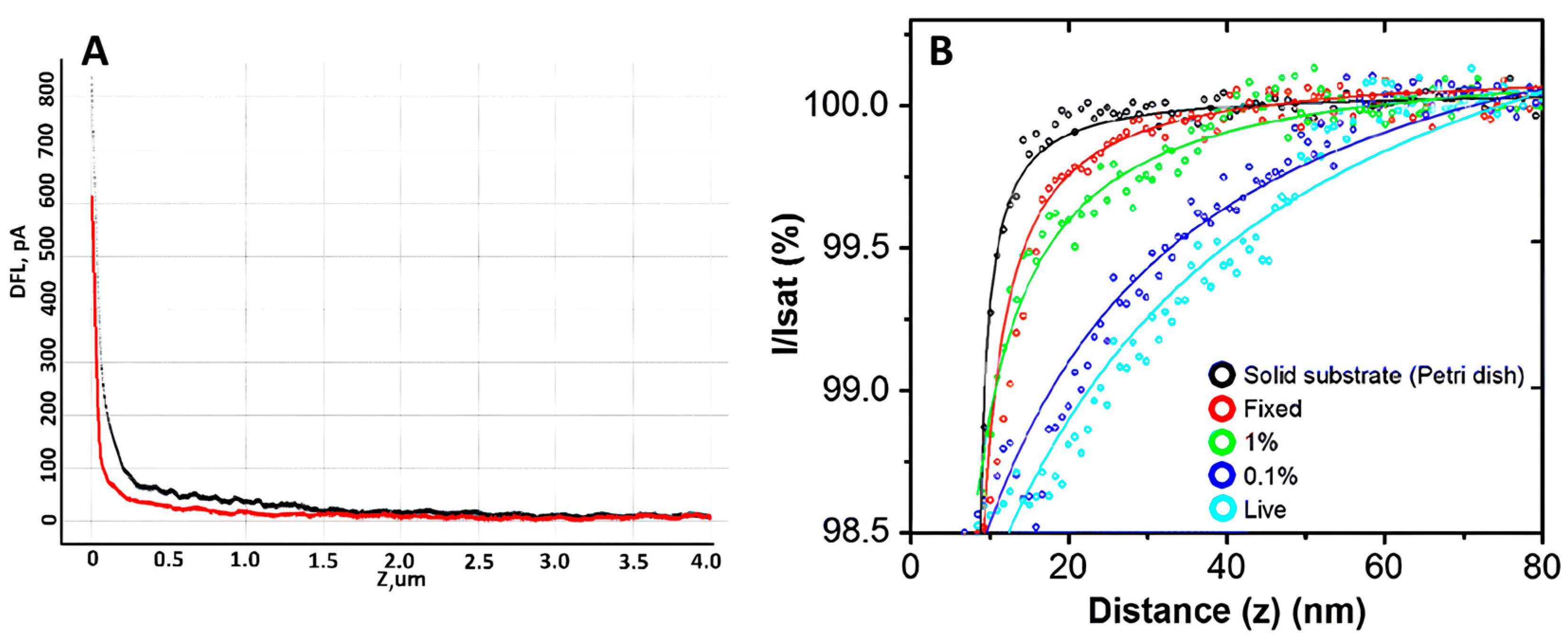 Cells 13 01757 g005 Cells 13 01757 g005