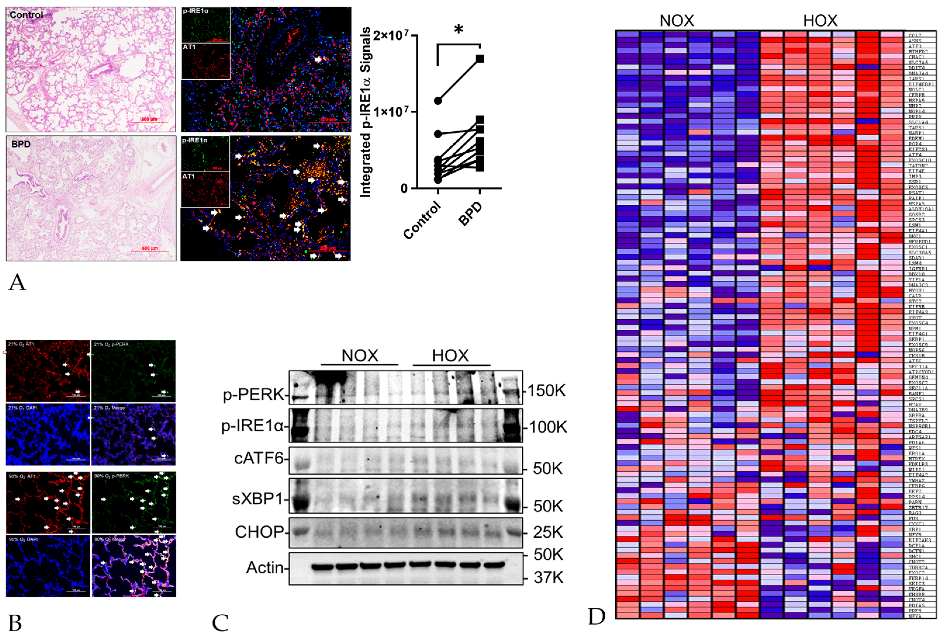 Cells 13 01774 g003 Cells 13 01774 g003