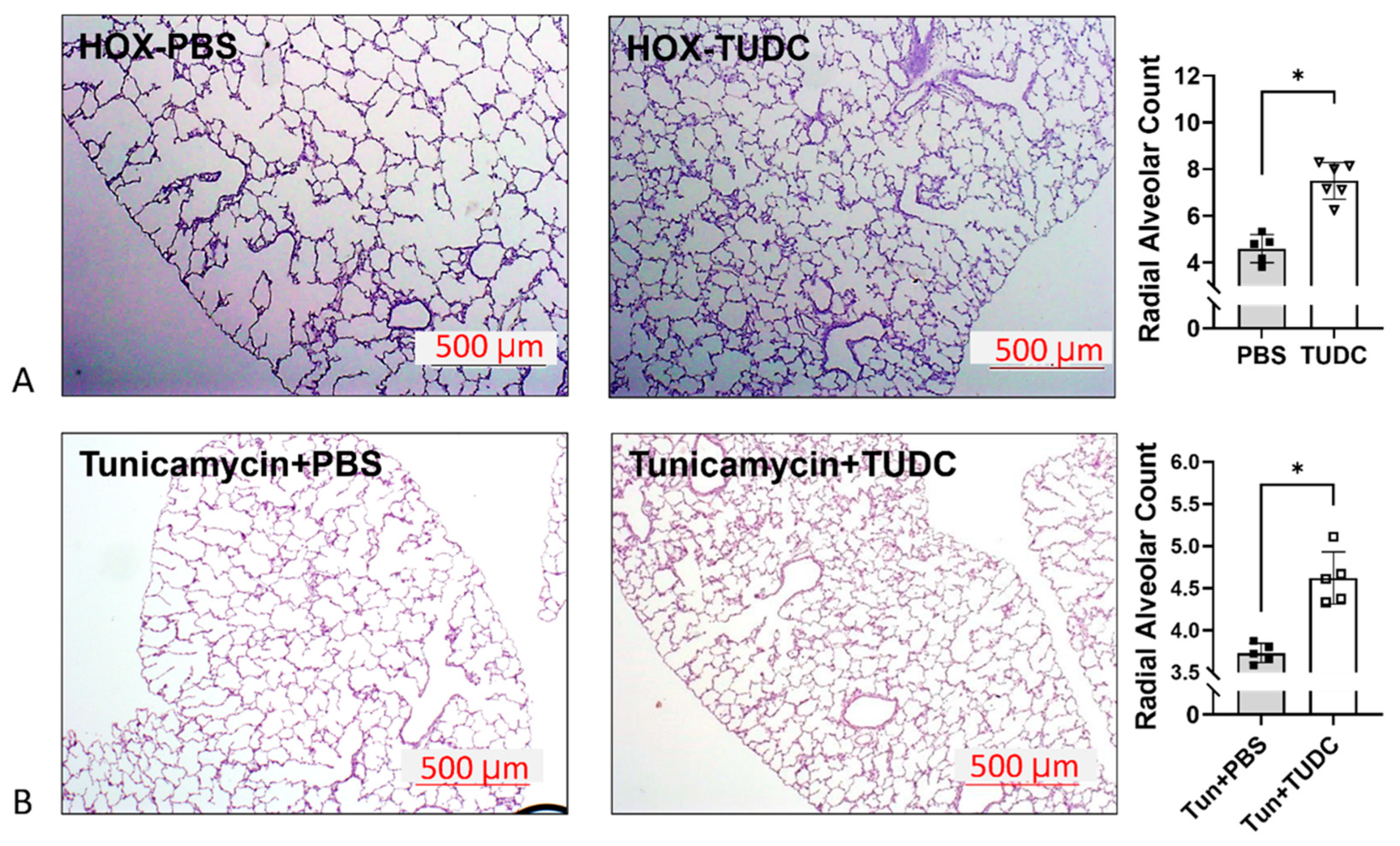 Cells 13 01774 g004 Cells 13 01774 g004
