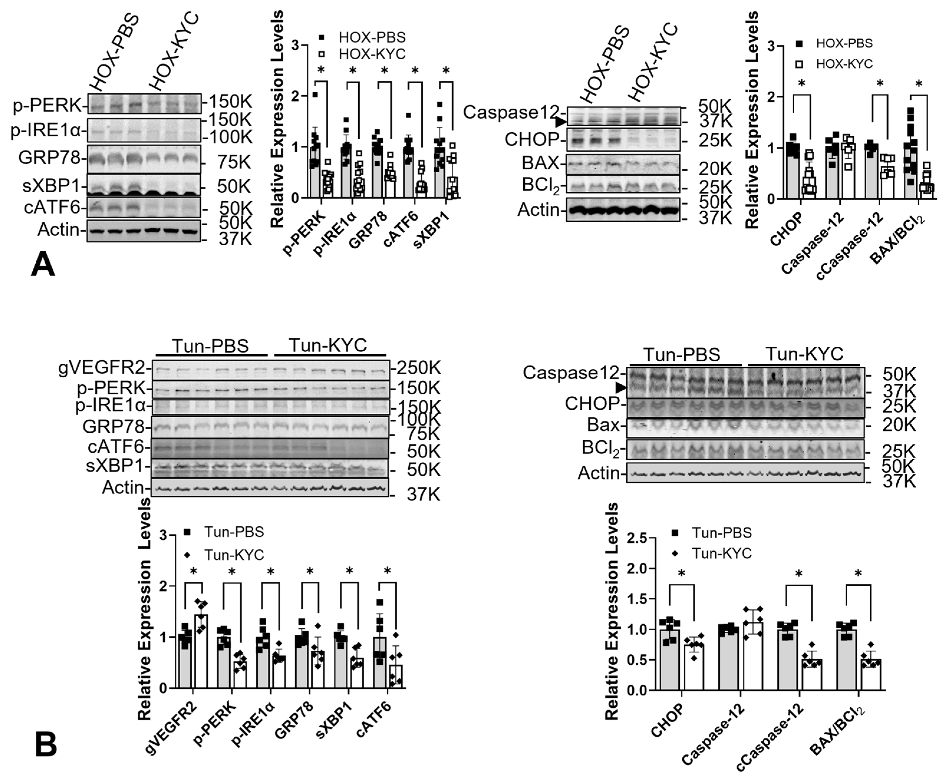 Cells 13 01774 g005 Cells 13 01774 g005