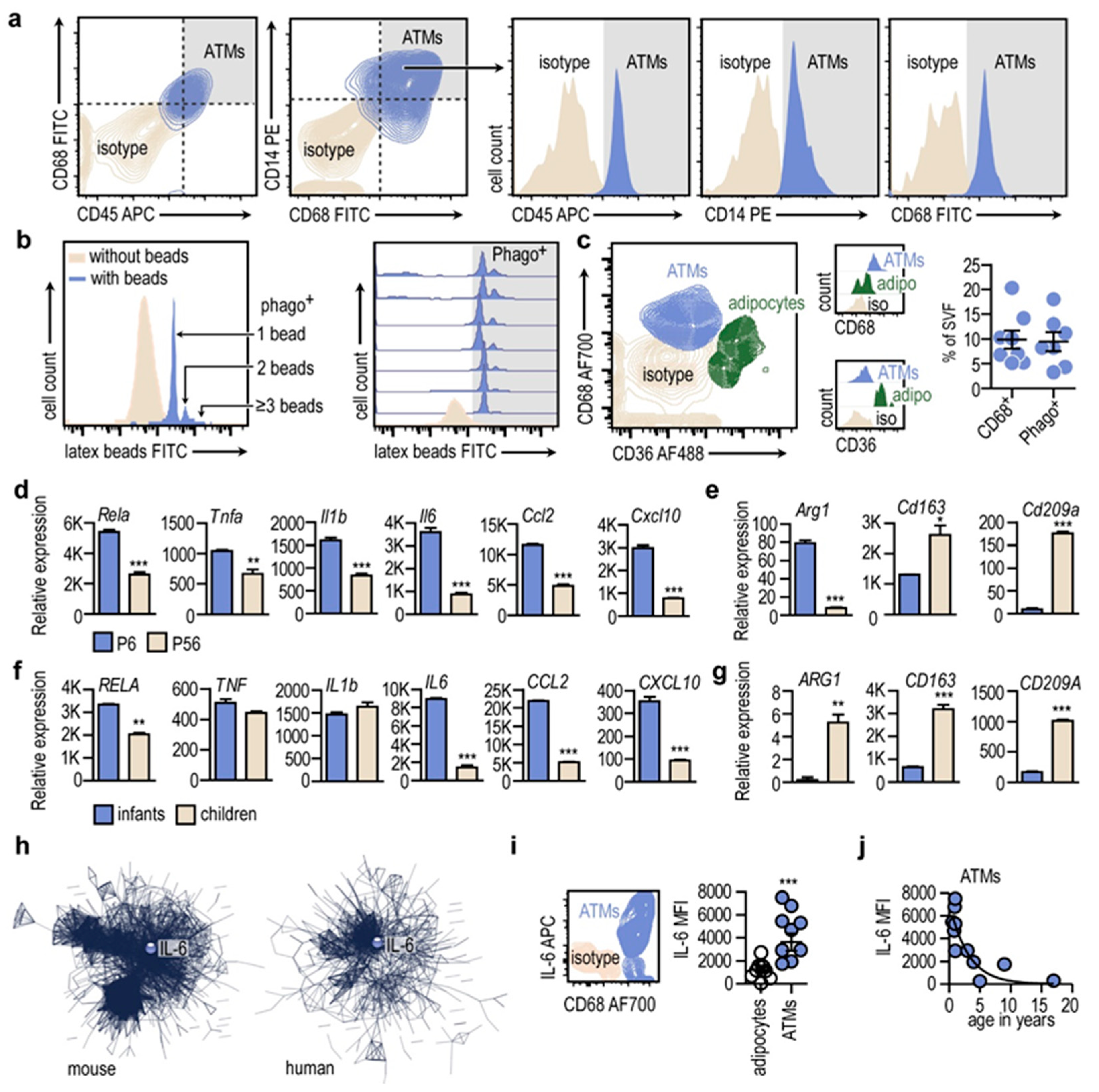 Cells 13 01787 g005 Cells 13 01787 g005