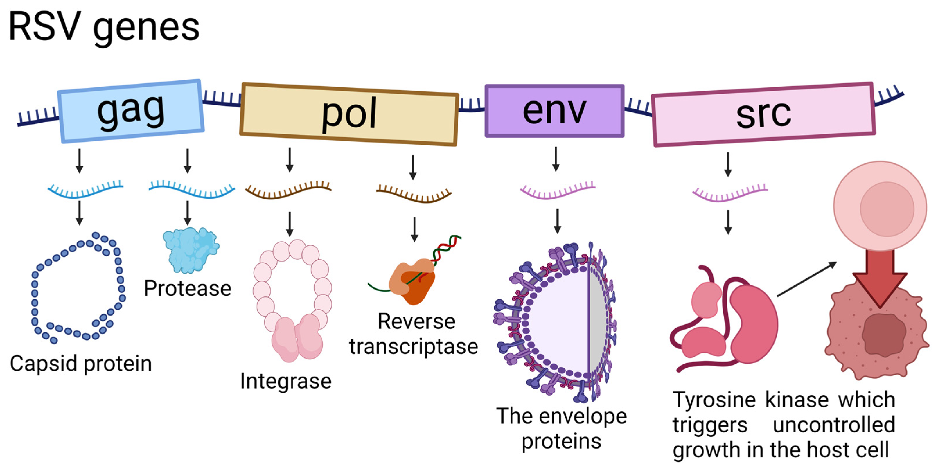 Cells 13 01797 g002 Cells 13 01797 g002