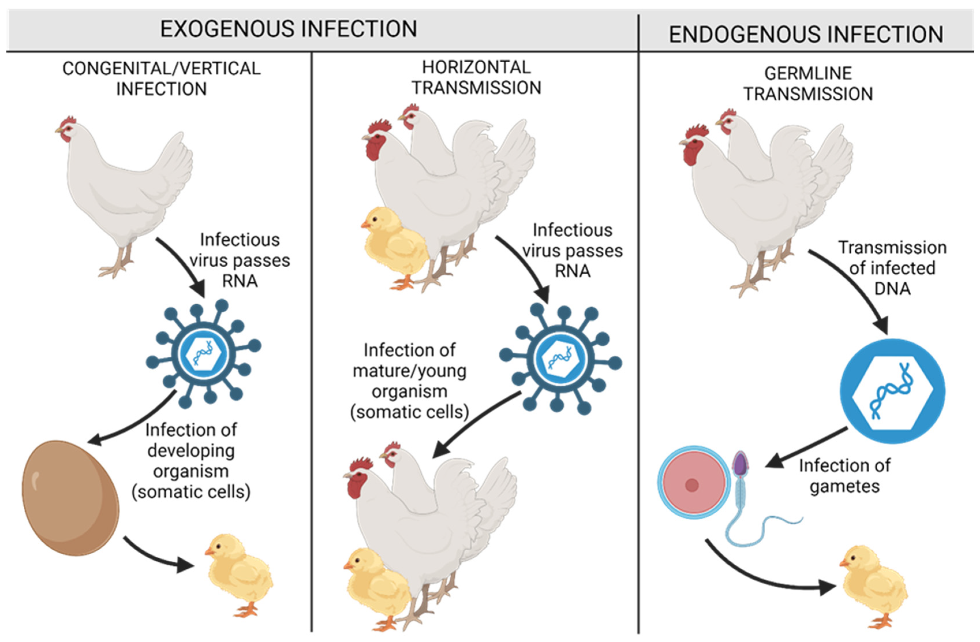 Cells 13 01797 g003 Cells 13 01797 g003