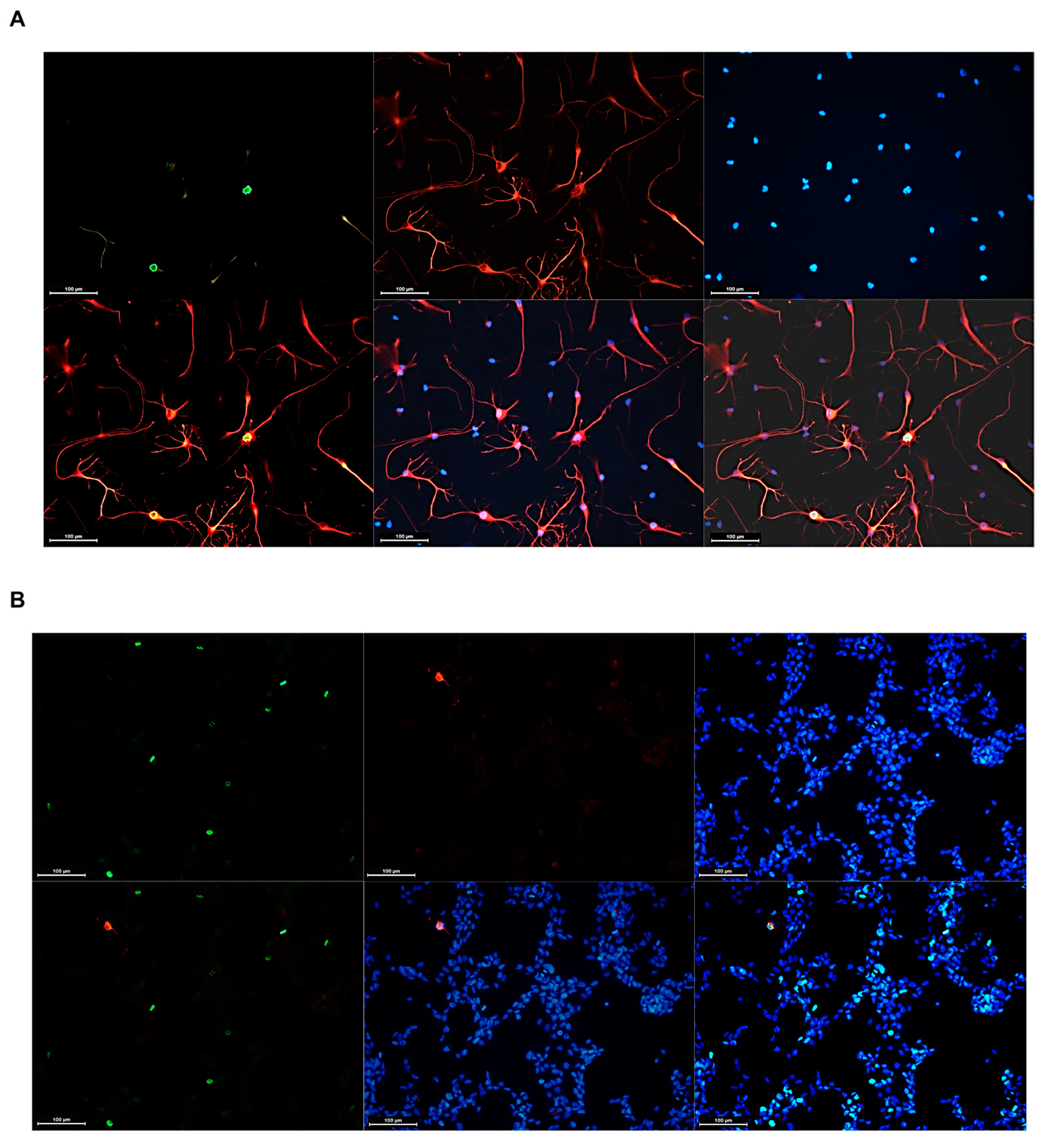 Cells 13 01802 g009a