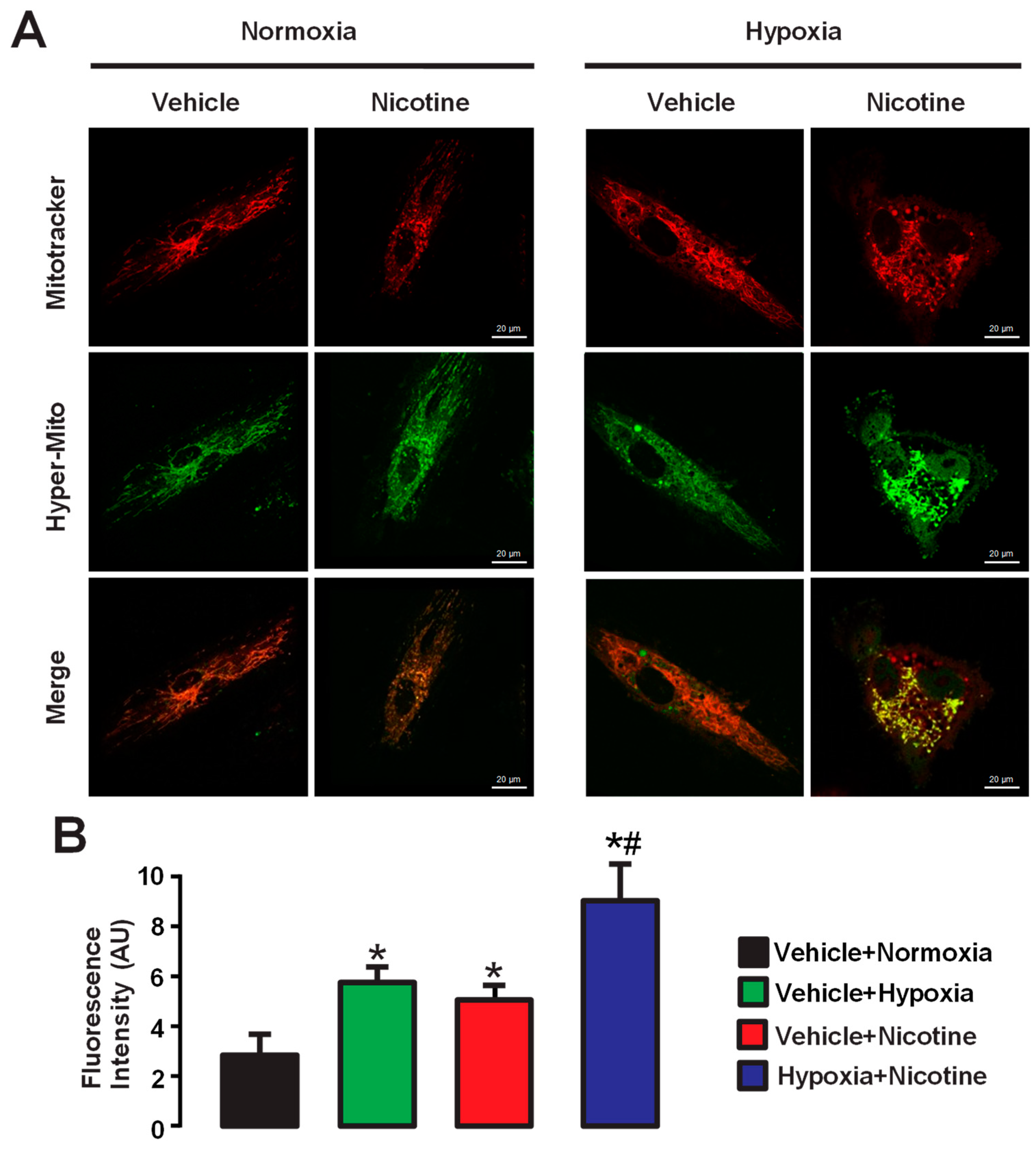 Cells 13 01807 g002 Cells 13 01807 g002