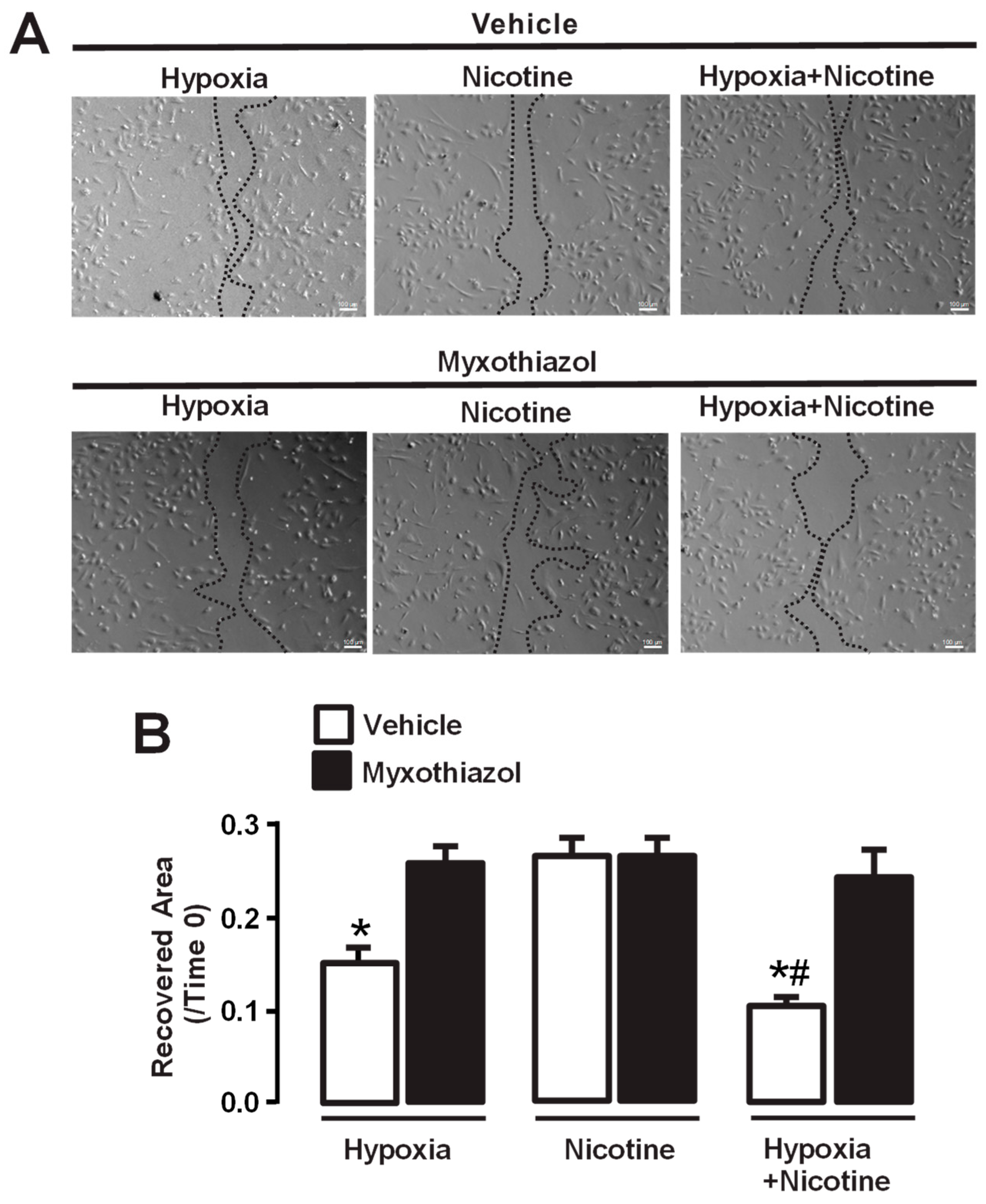 Cells 13 01807 g003 Cells 13 01807 g003