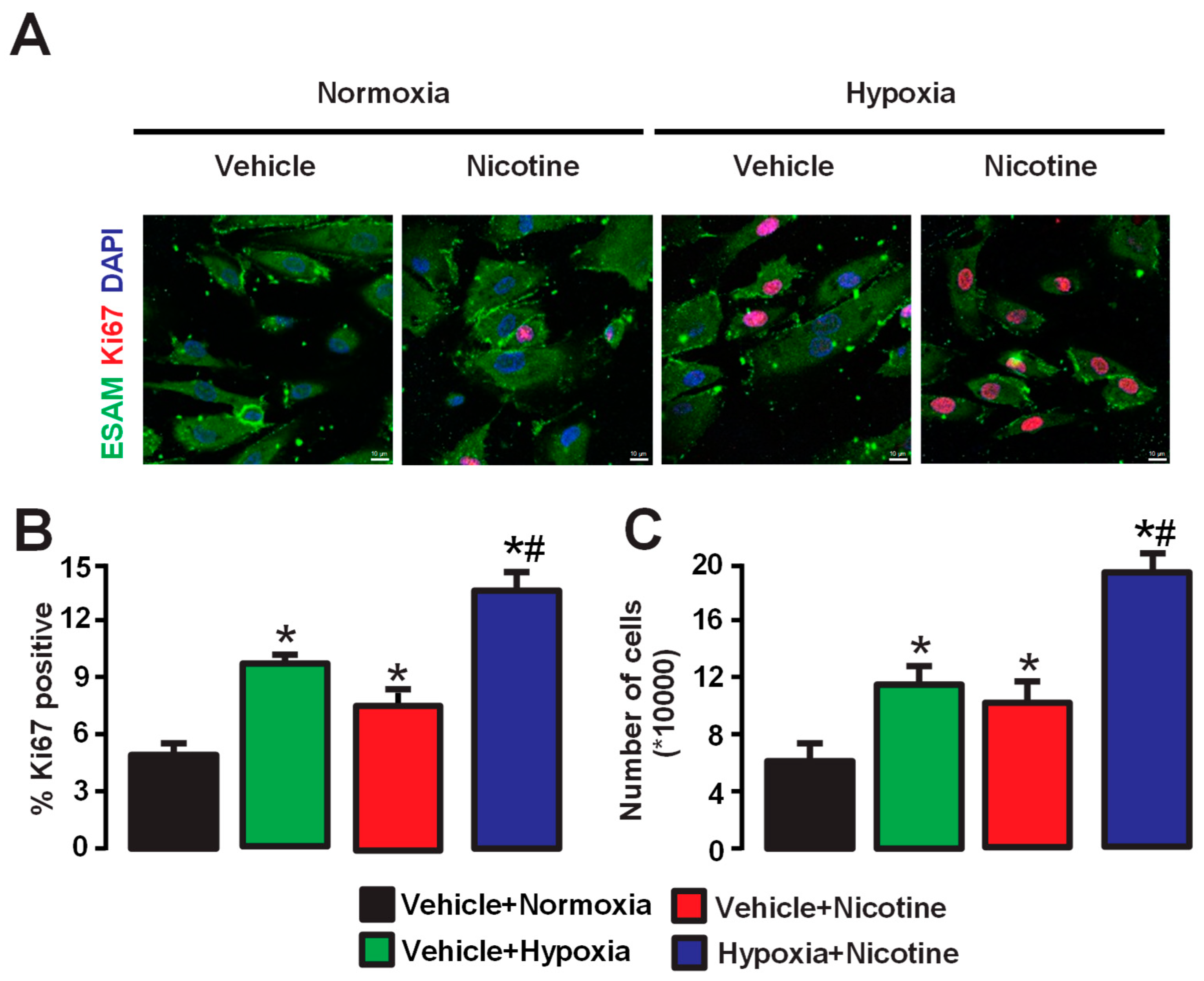 Cells 13 01807 g005 Cells 13 01807 g005