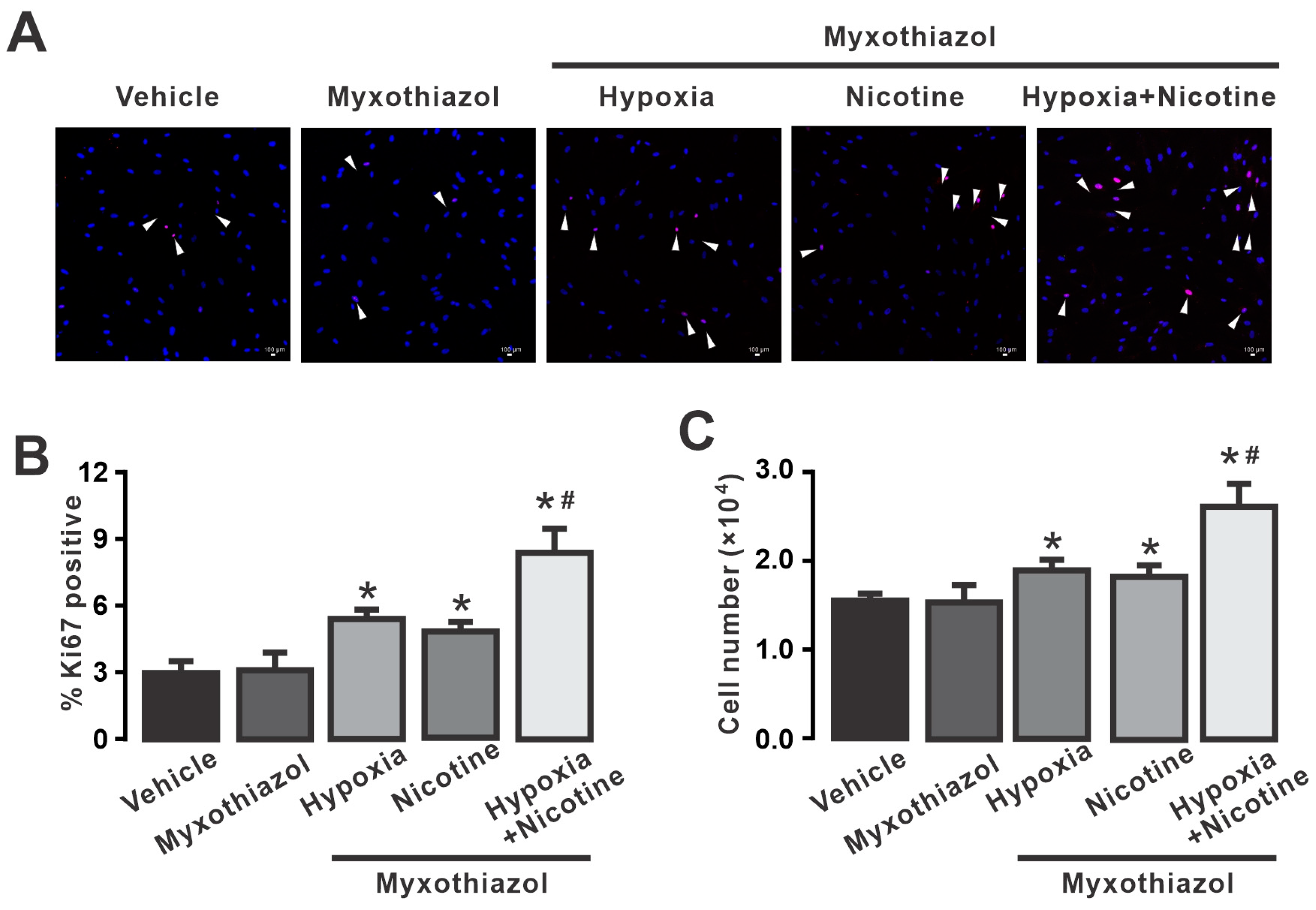 Cells 13 01807 g006 Cells 13 01807 g006