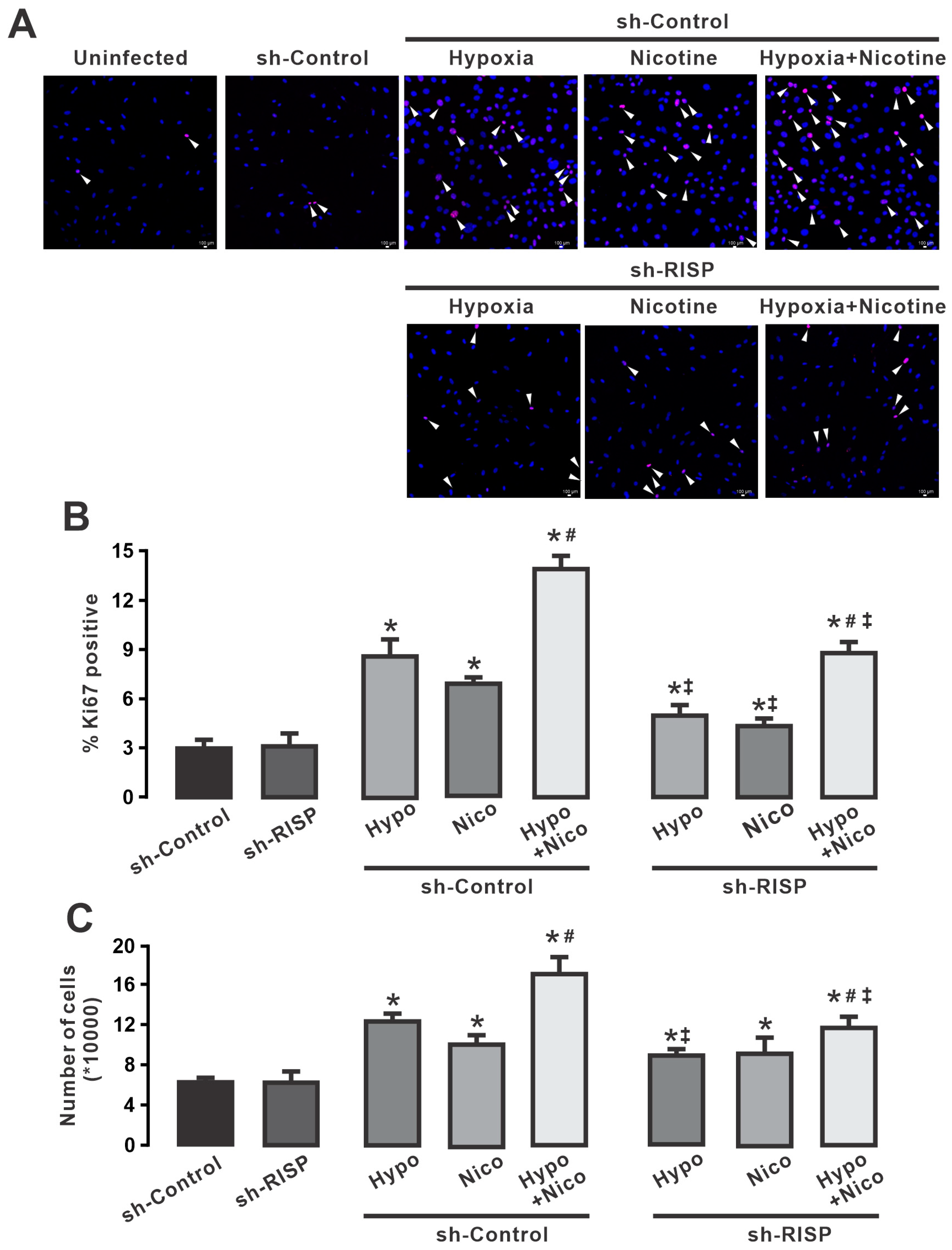 Cells 13 01807 g007 Cells 13 01807 g007