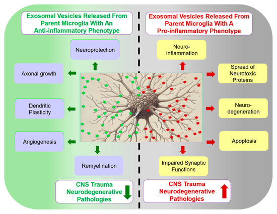The Yin and Yang of Microglia-Derived Extracellular Vesicles in CNS ...