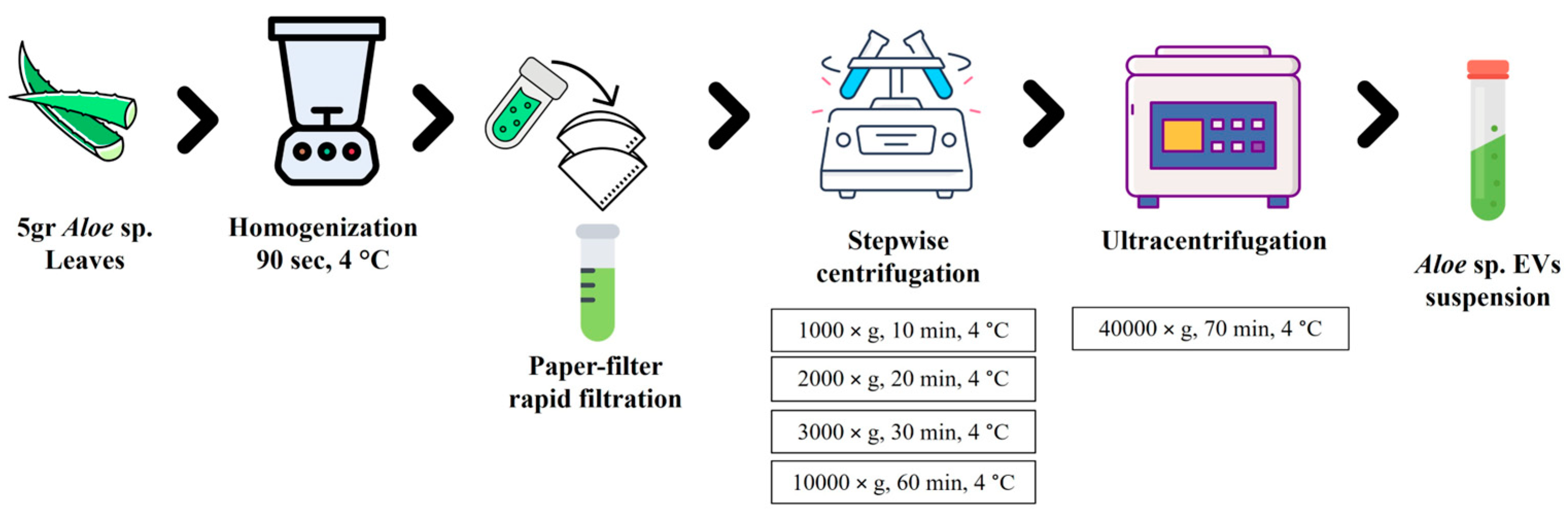 Cells 13 01845 g001 Cells 13 01845 g001