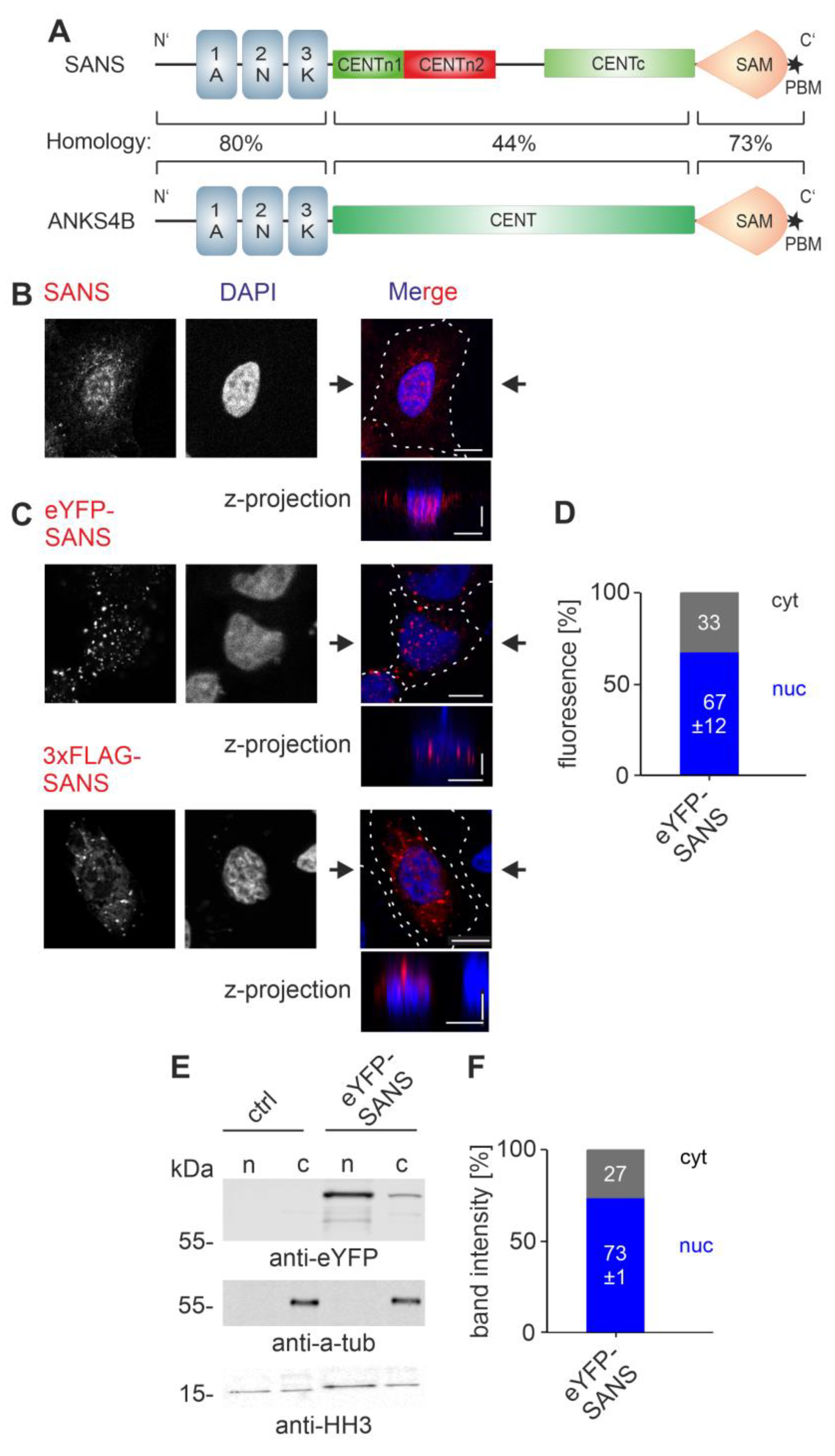 Cells 13 01855 g001 Cells 13 01855 g001