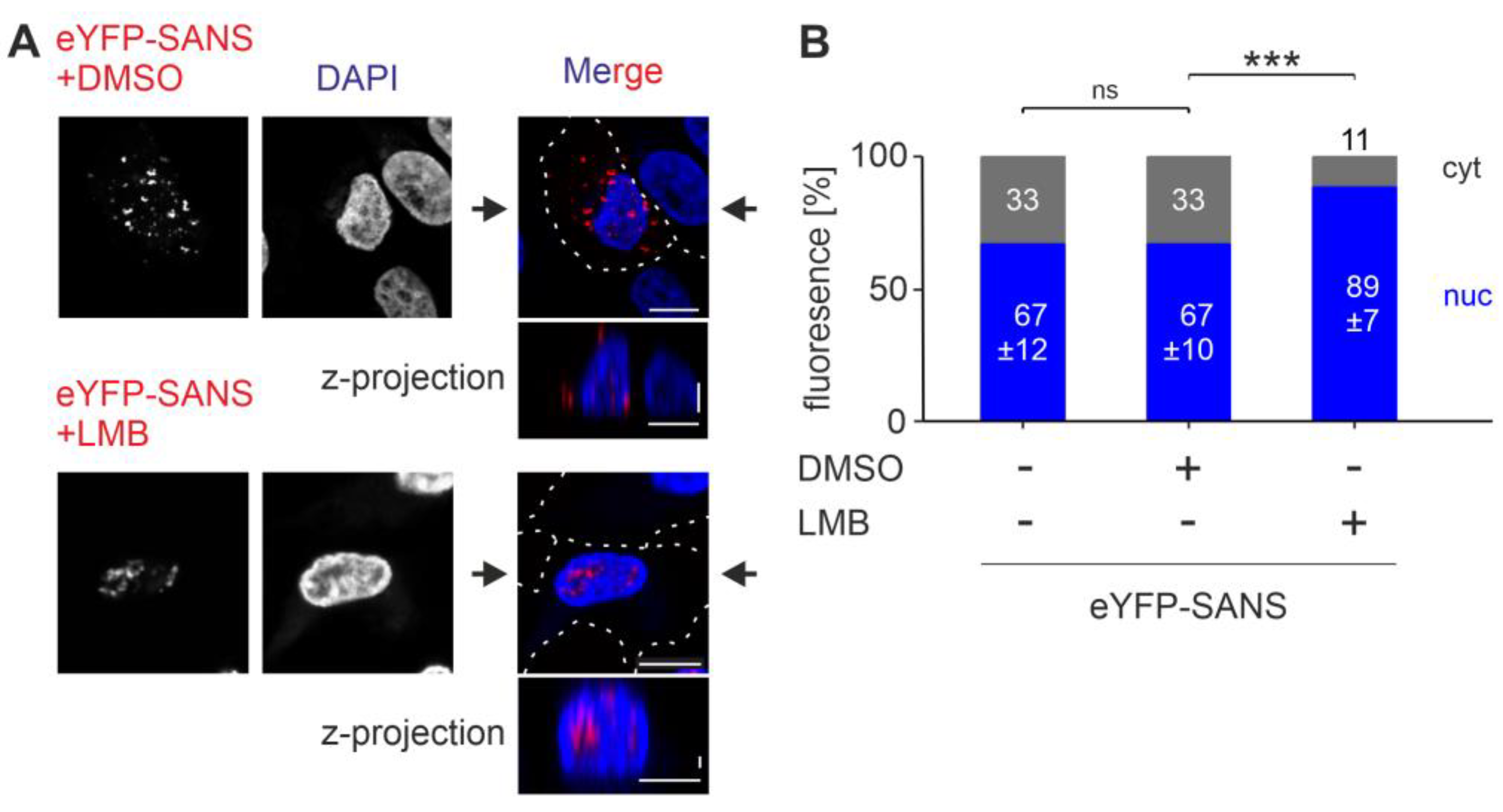 Cells 13 01855 g002 Cells 13 01855 g002