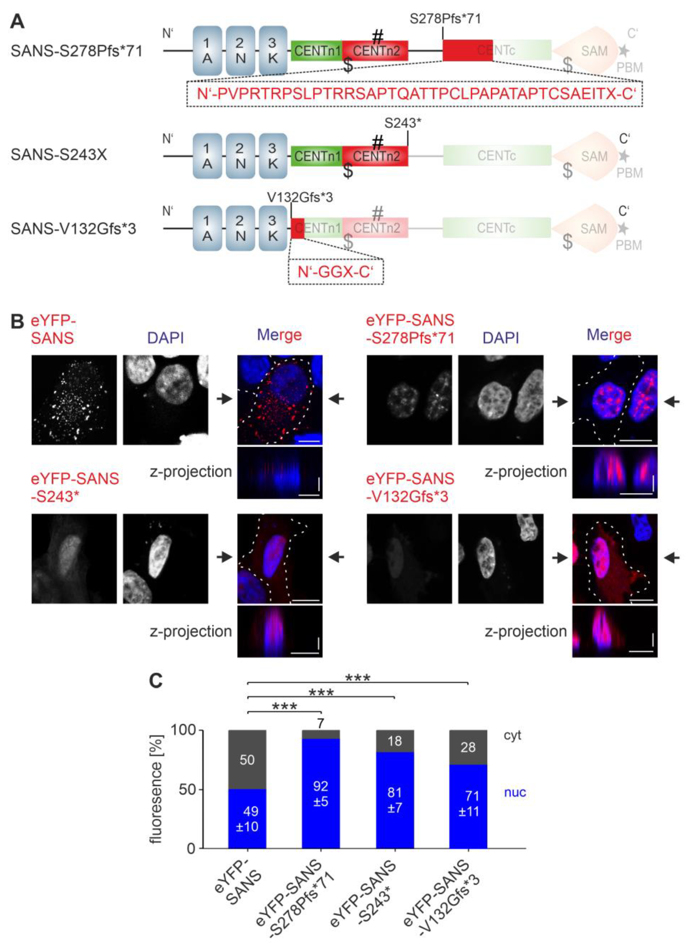 Cells 13 01855 g006 Cells 13 01855 g006