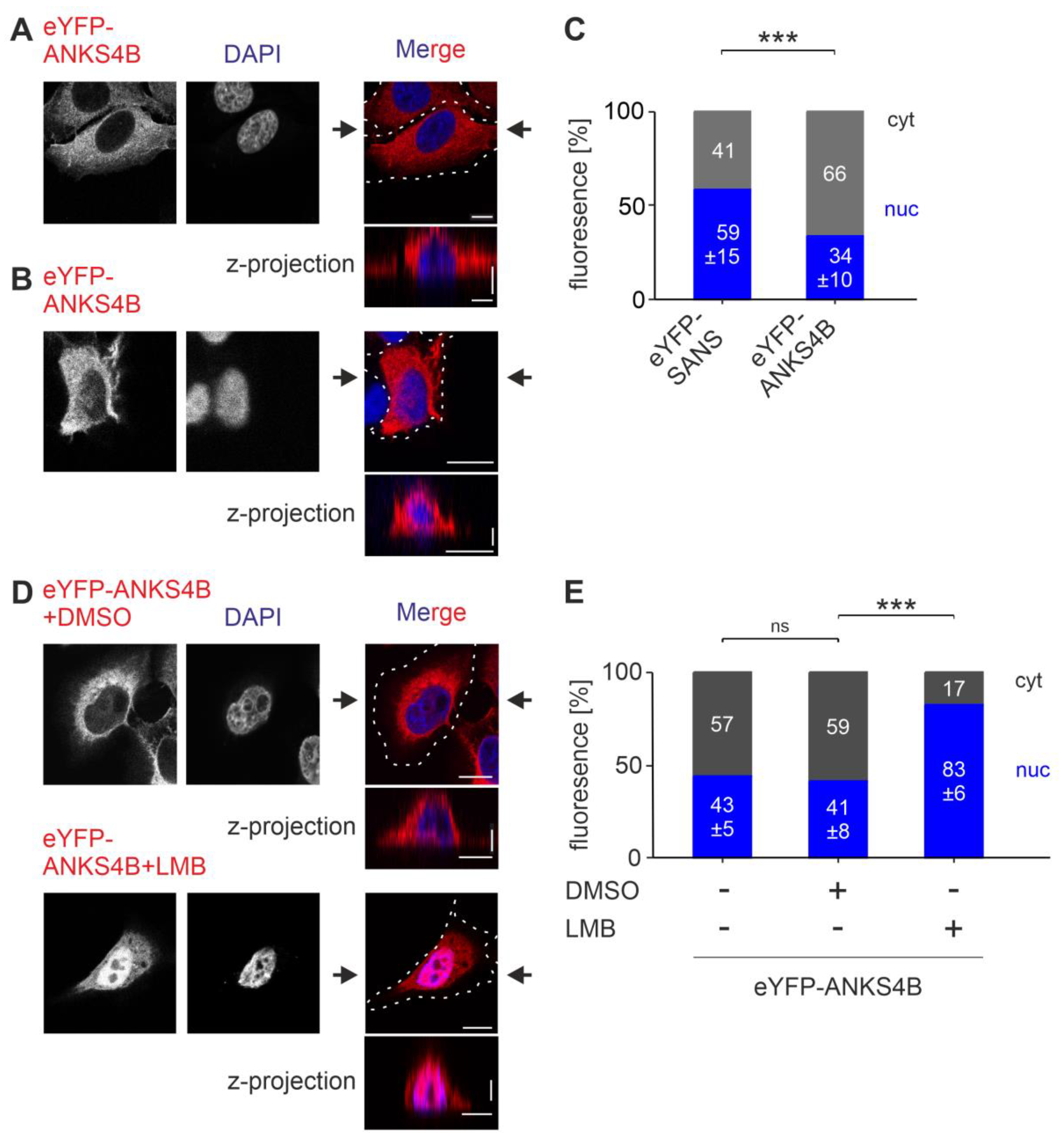 Cells 13 01855 g008 Cells 13 01855 g008