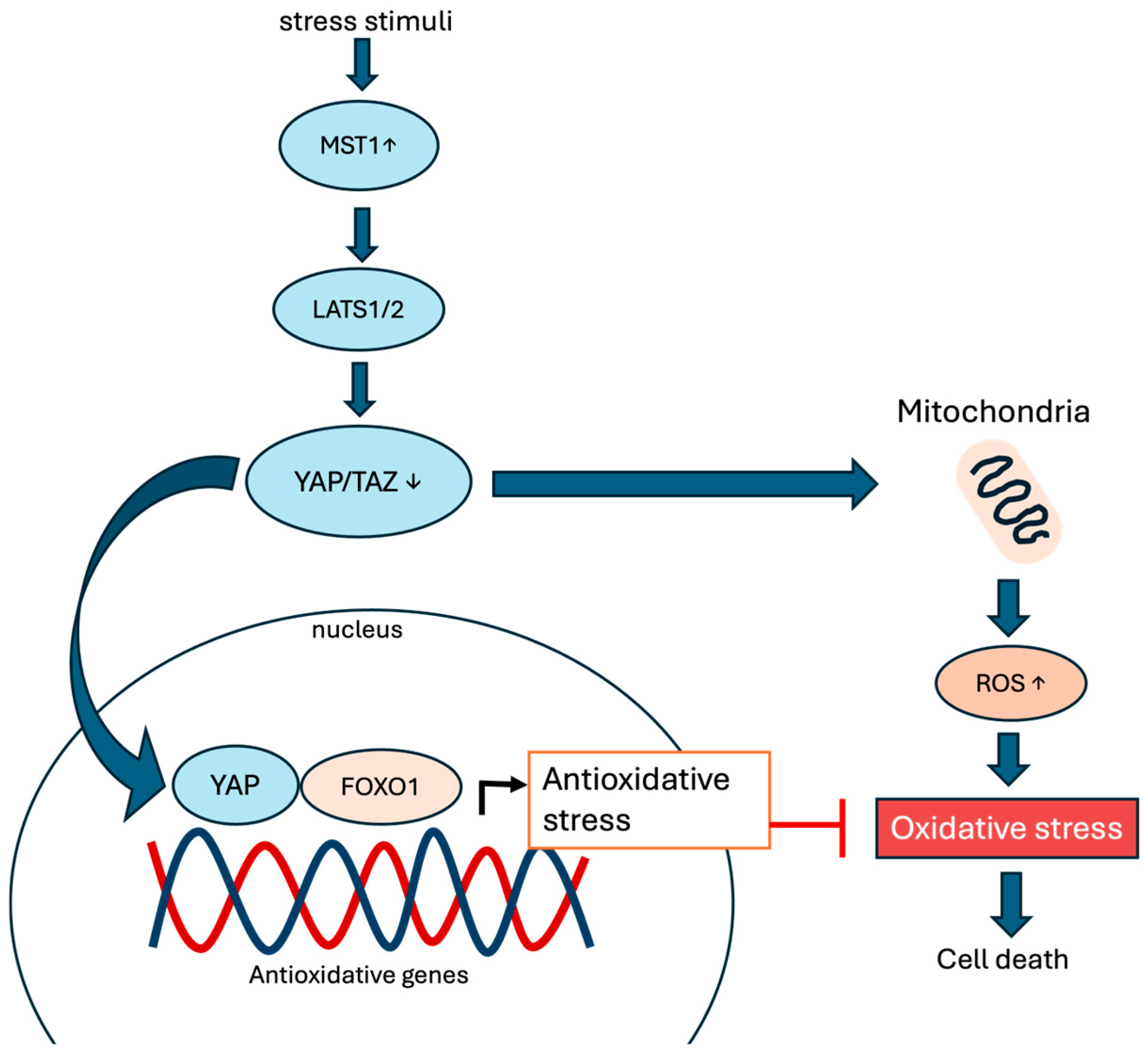 Cells 13 01868 g002 Cells 13 01868 g002