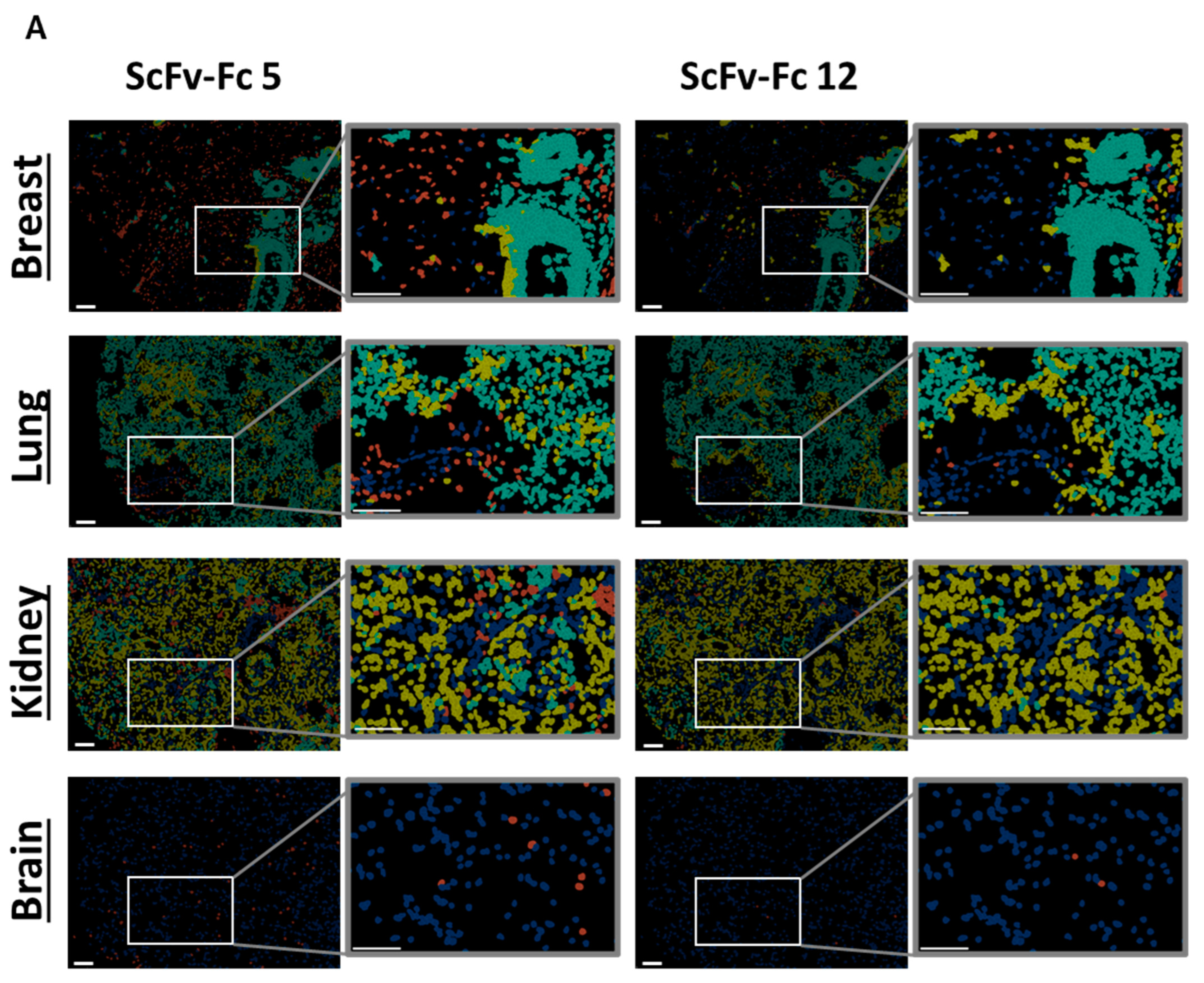 Cells 13 01880 g007a