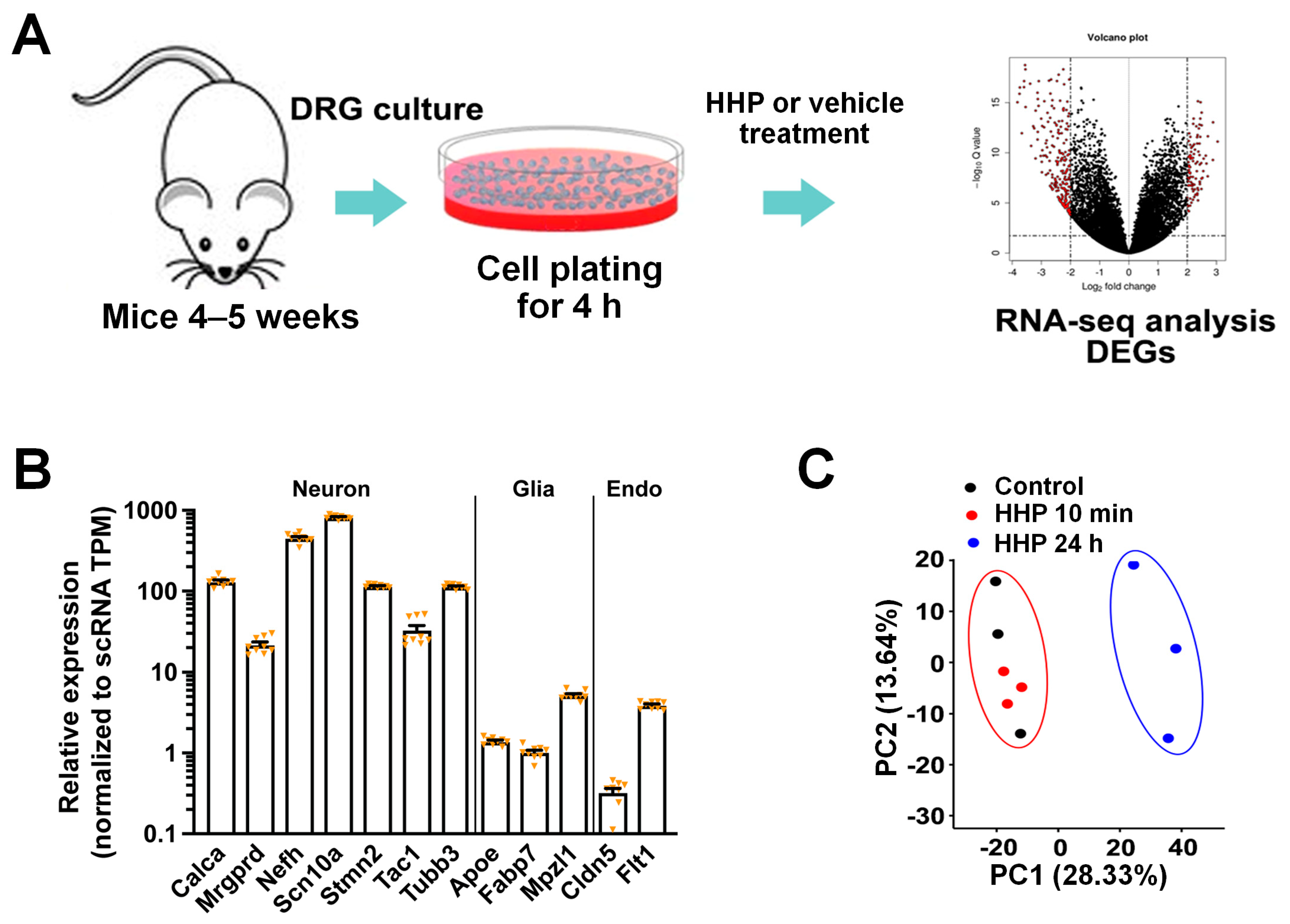 Cells 13 01887 g001 Cells 13 01887 g001