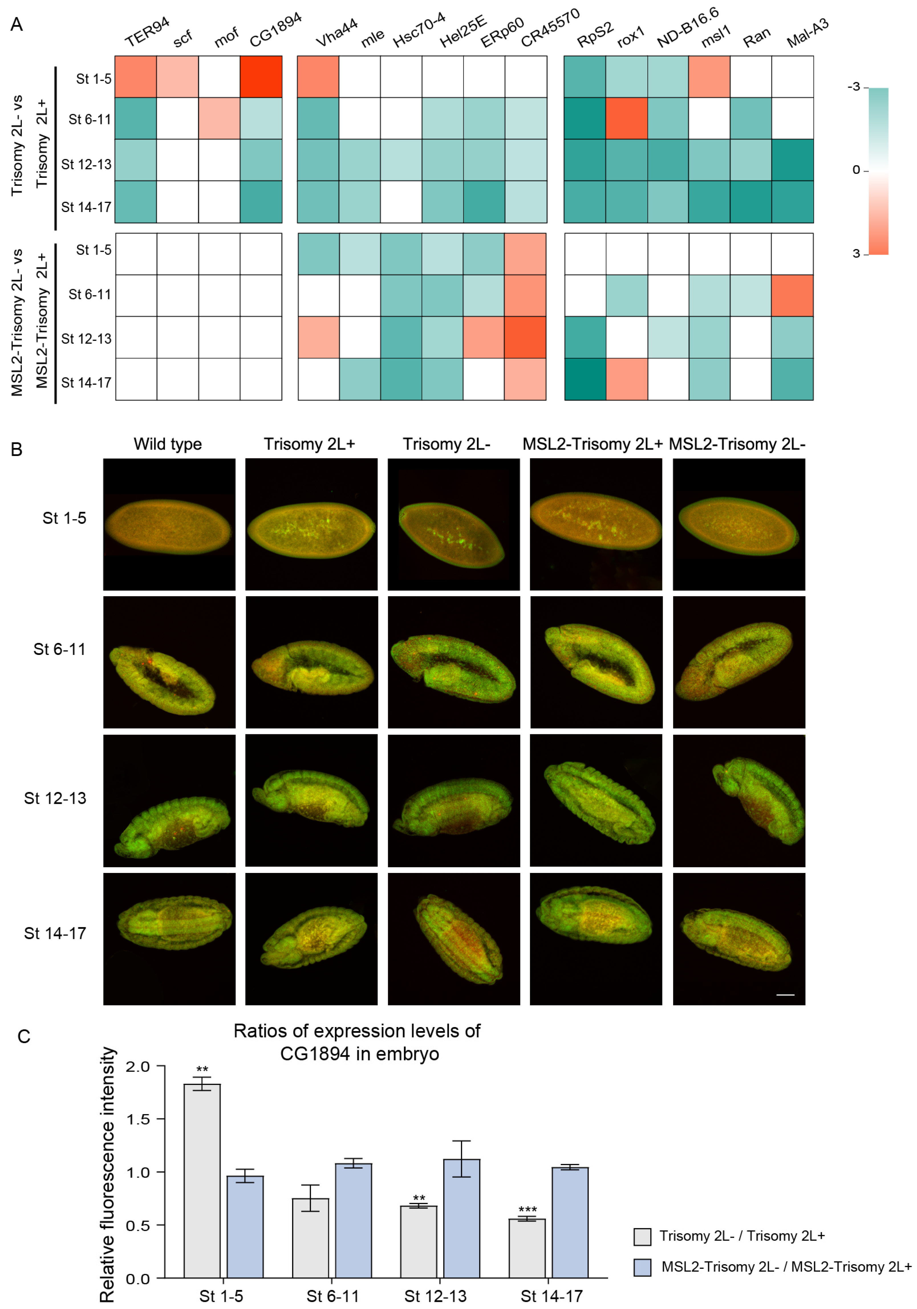 Cells 13 01923 g002 Cells 13 01923 g002