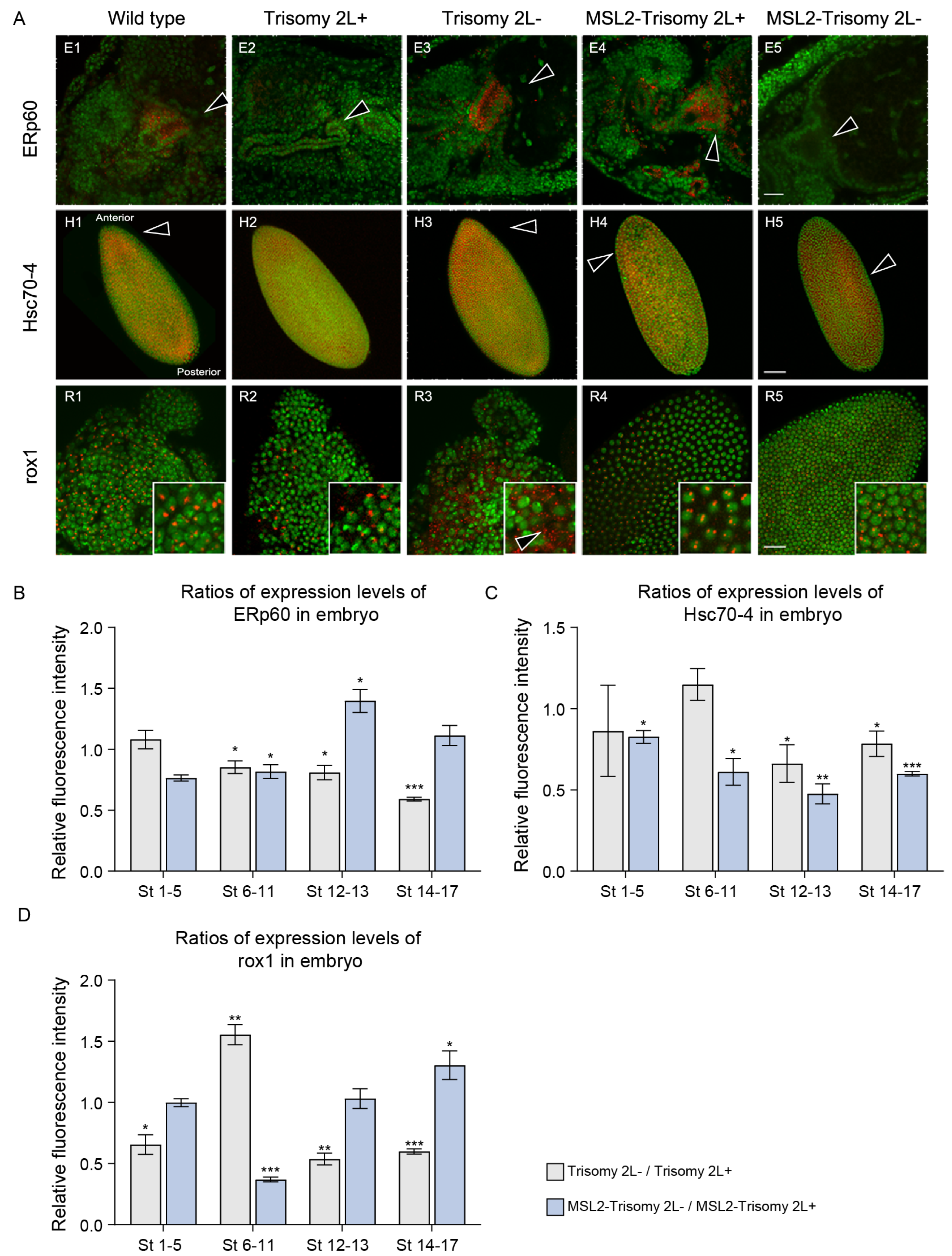 Cells 13 01923 g003 Cells 13 01923 g003
