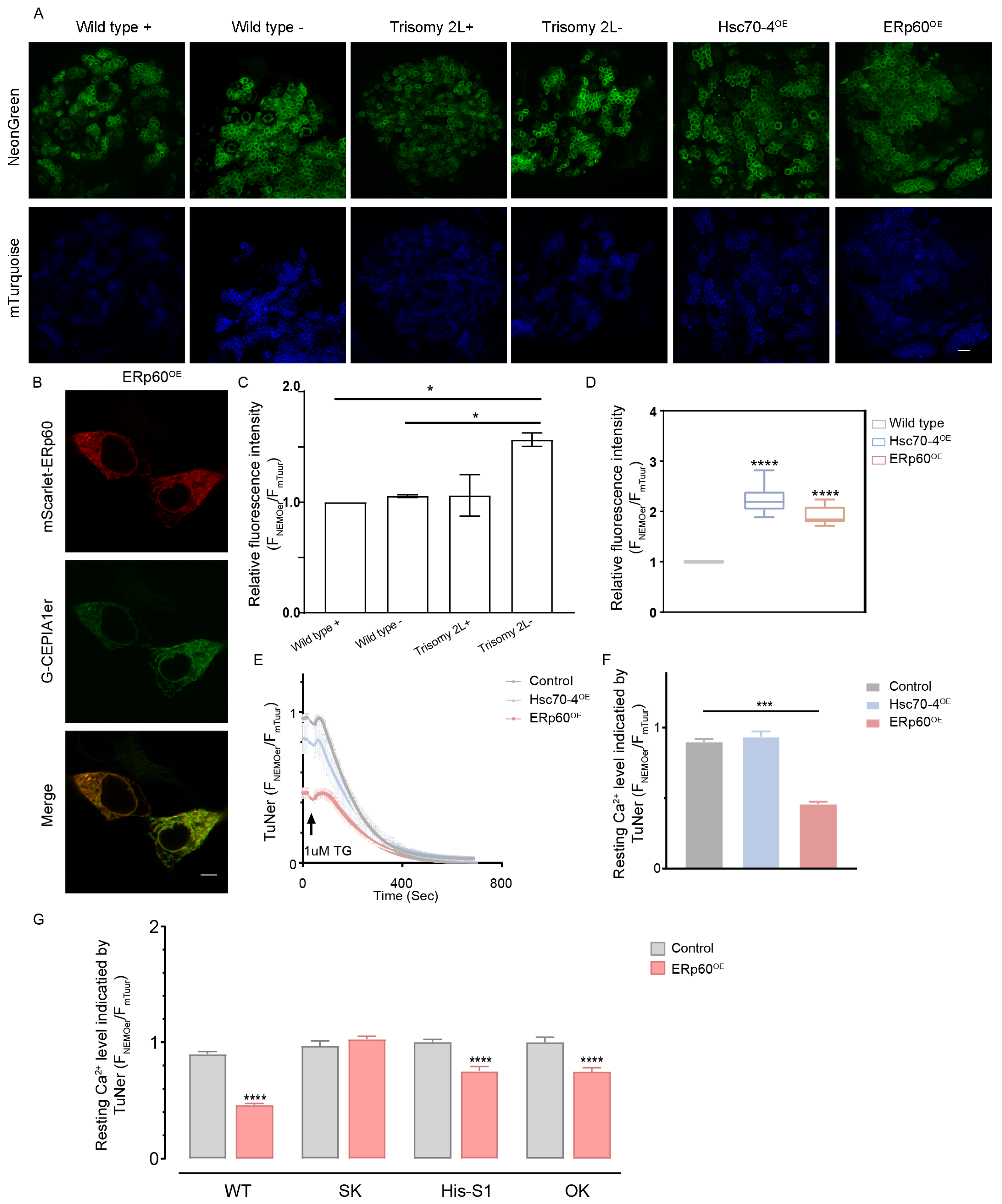 Cells 13 01923 g006 Cells 13 01923 g006