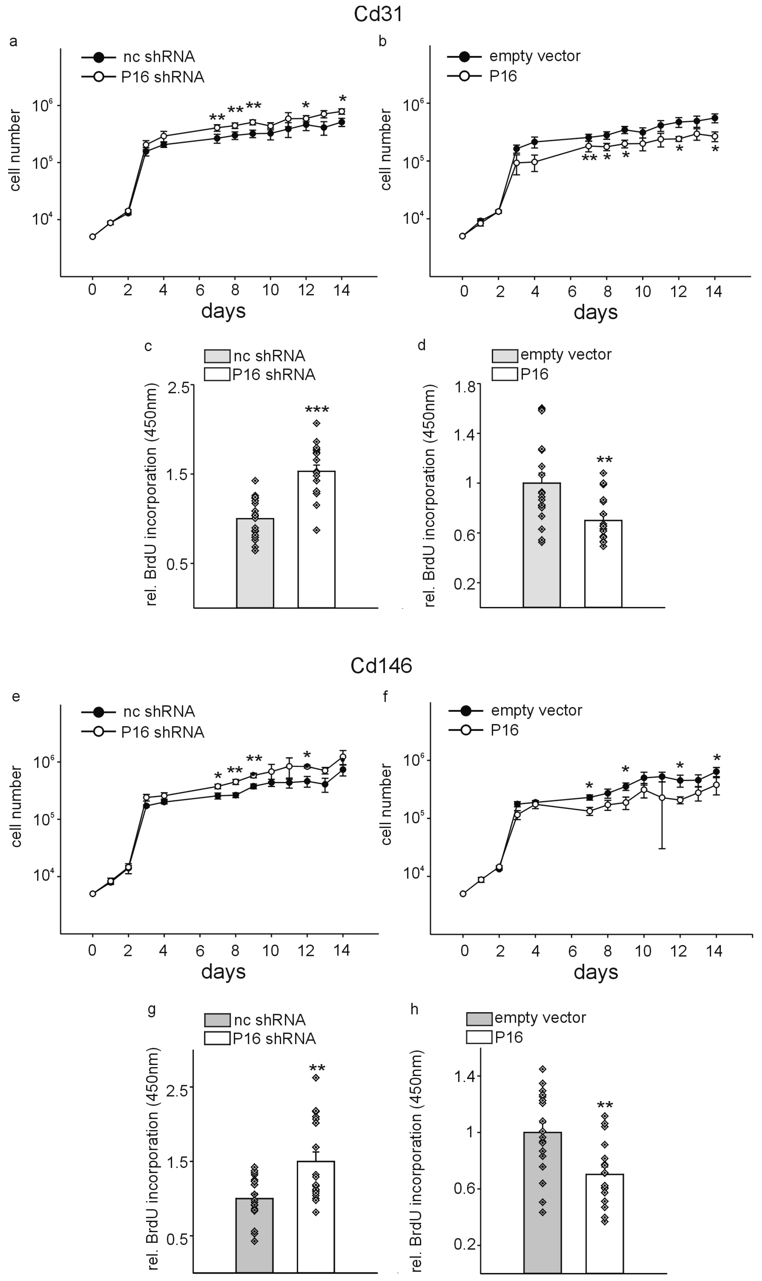 Cells 13 01929 g004 Cells 13 01929 g004