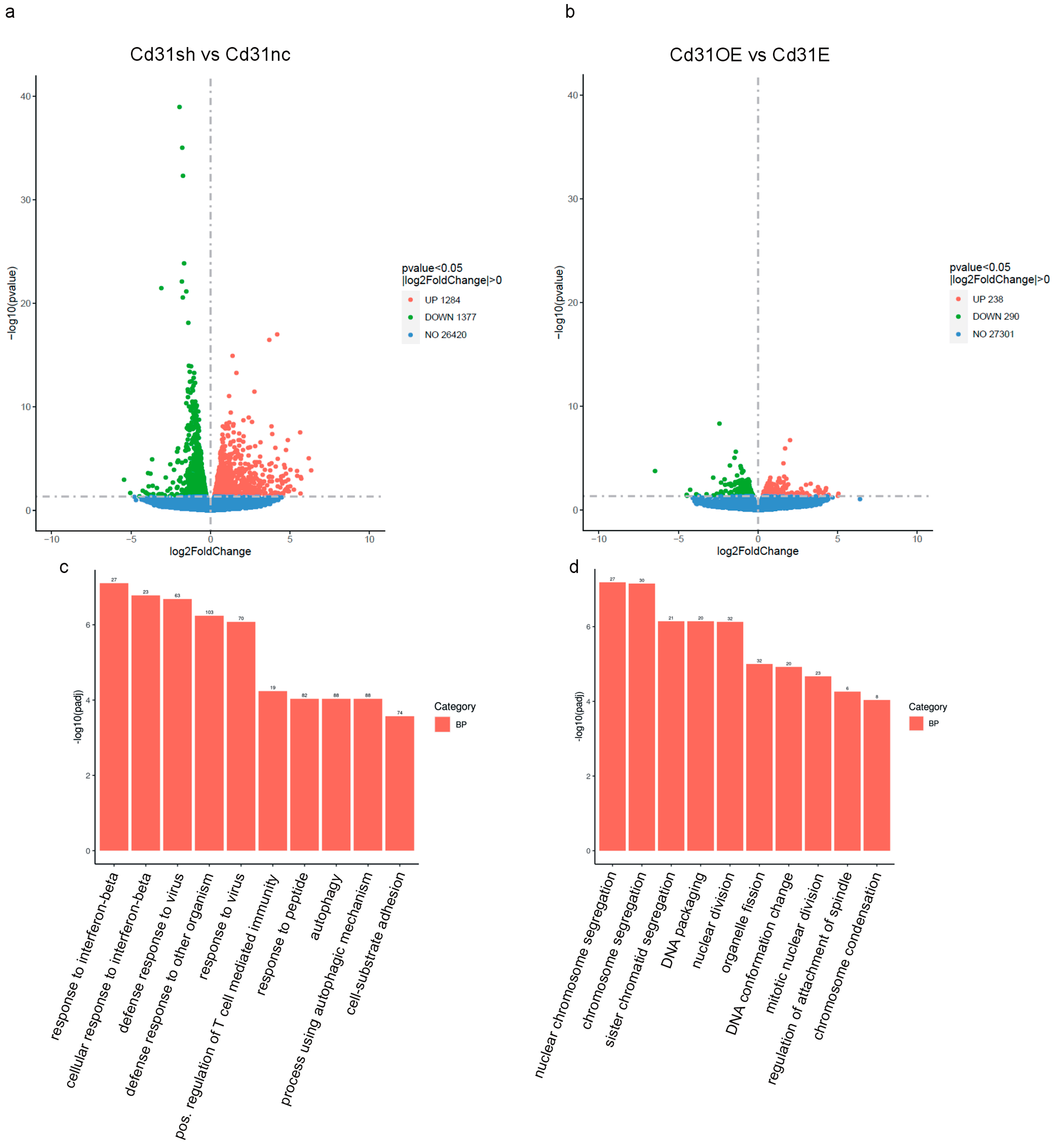Cells 13 01929 g007a Cells 13 01929 g007a