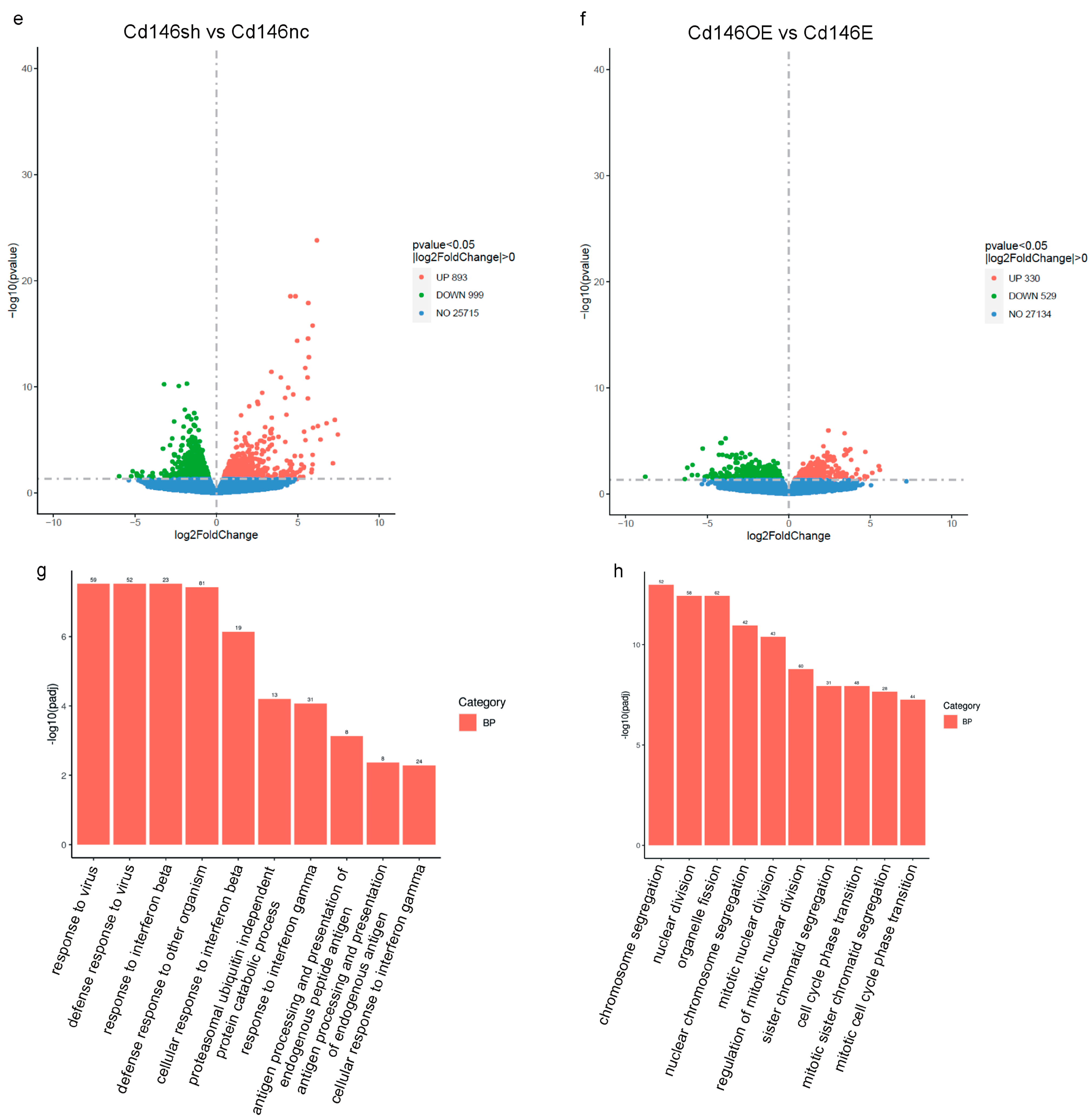 Cells 13 01929 g007b Cells 13 01929 g007b