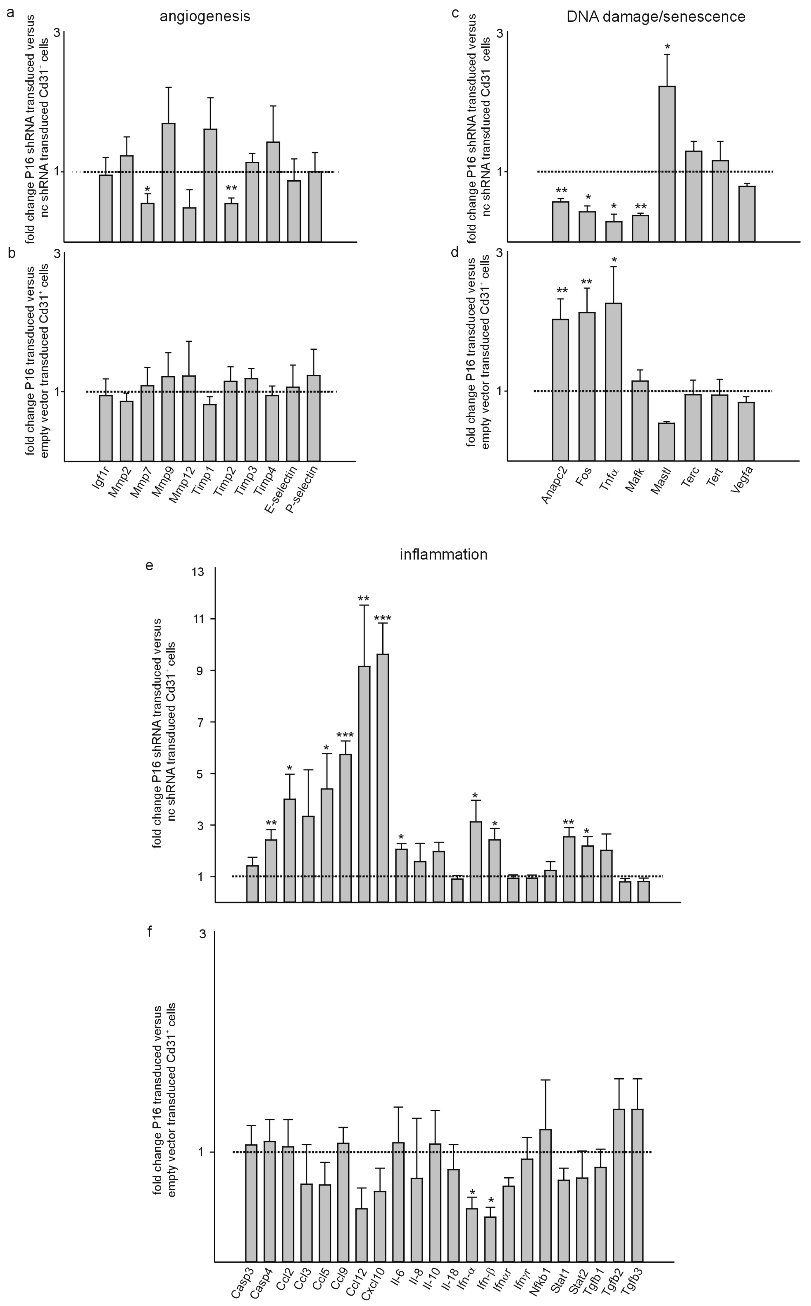 Cells 13 01929 g008a Cells 13 01929 g008a