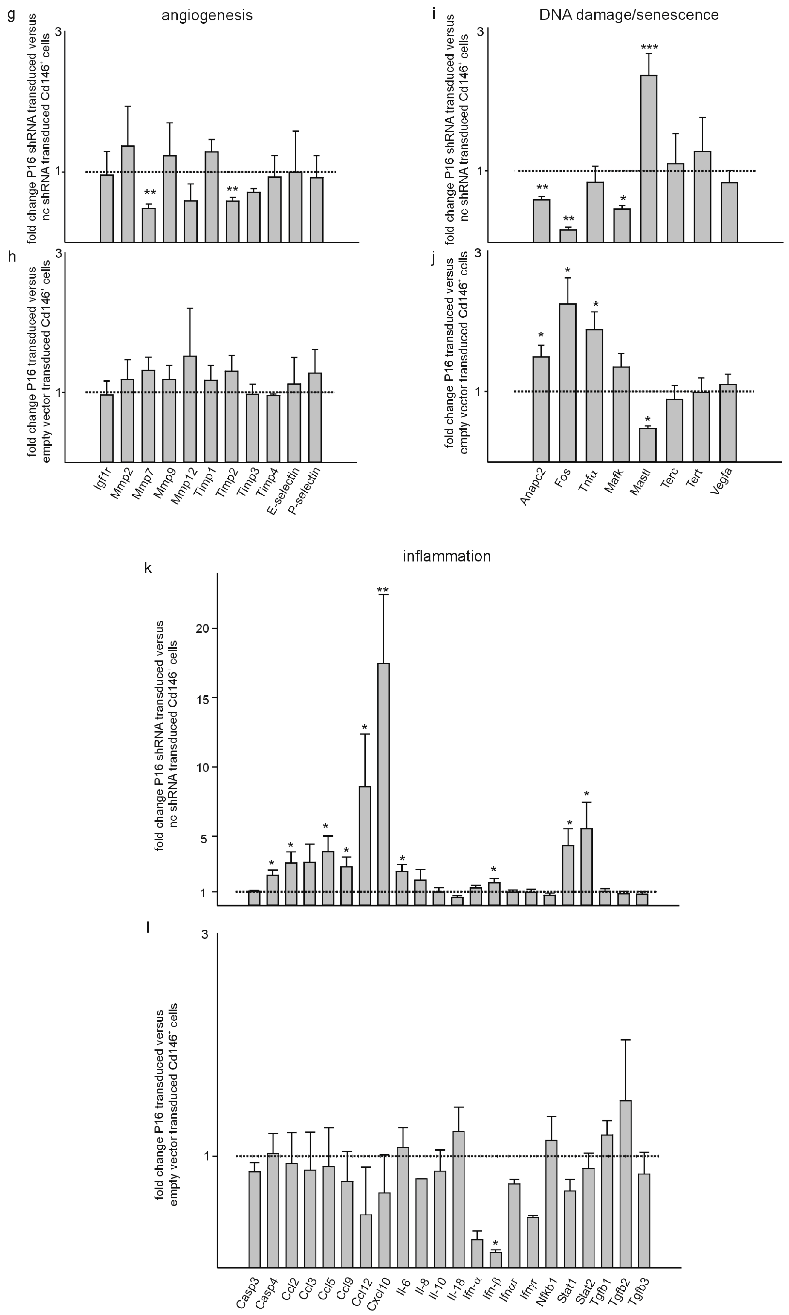 Cells 13 01929 g008b Cells 13 01929 g008b