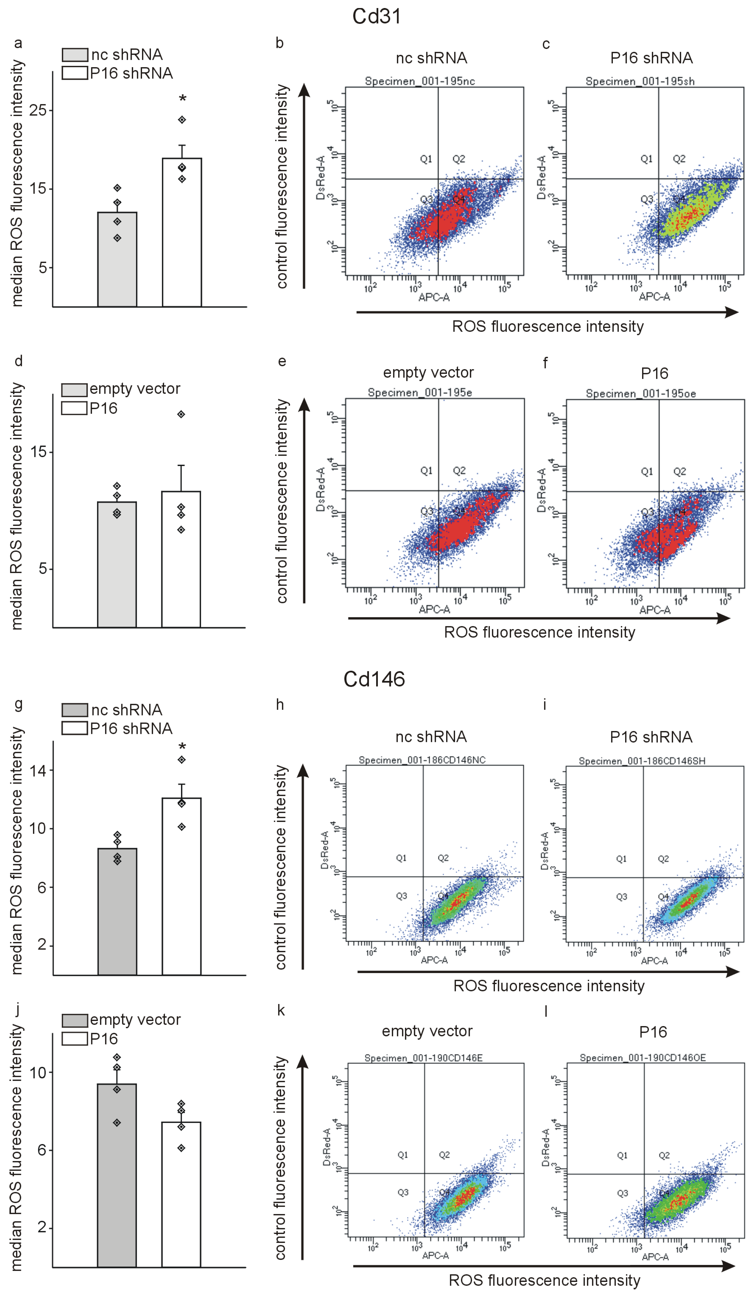 Cells 13 01929 g009 Cells 13 01929 g009
