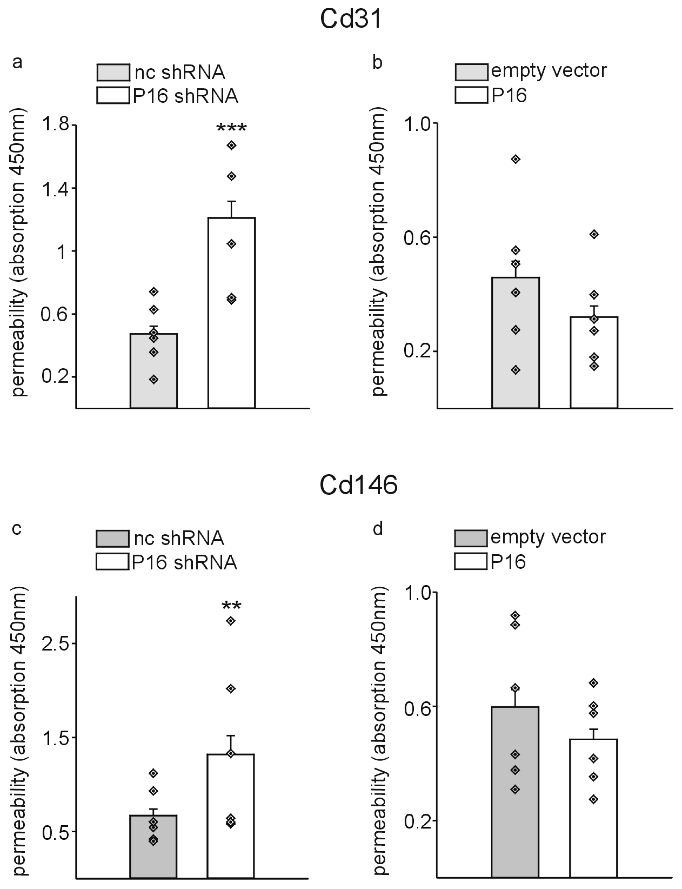 Cells 13 01929 g010 Cells 13 01929 g010