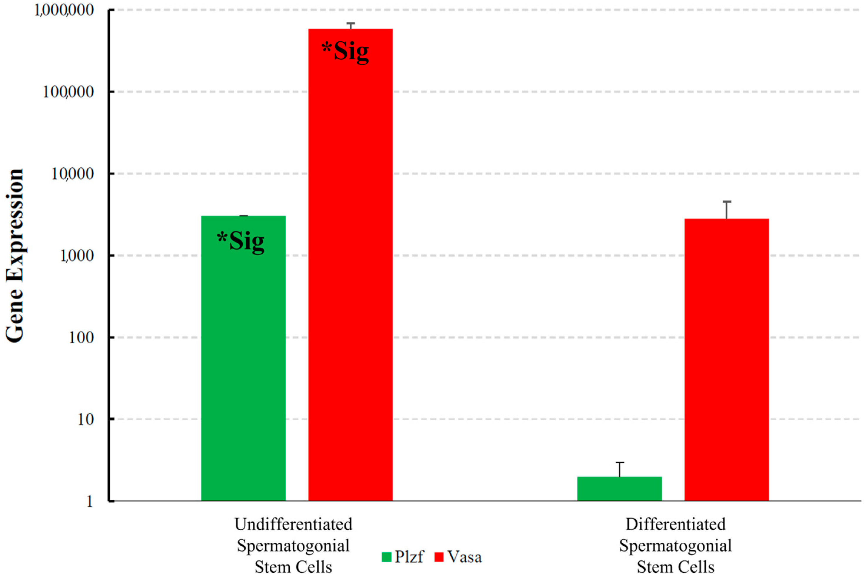 Cells 13 01930 g004 Cells 13 01930 g004