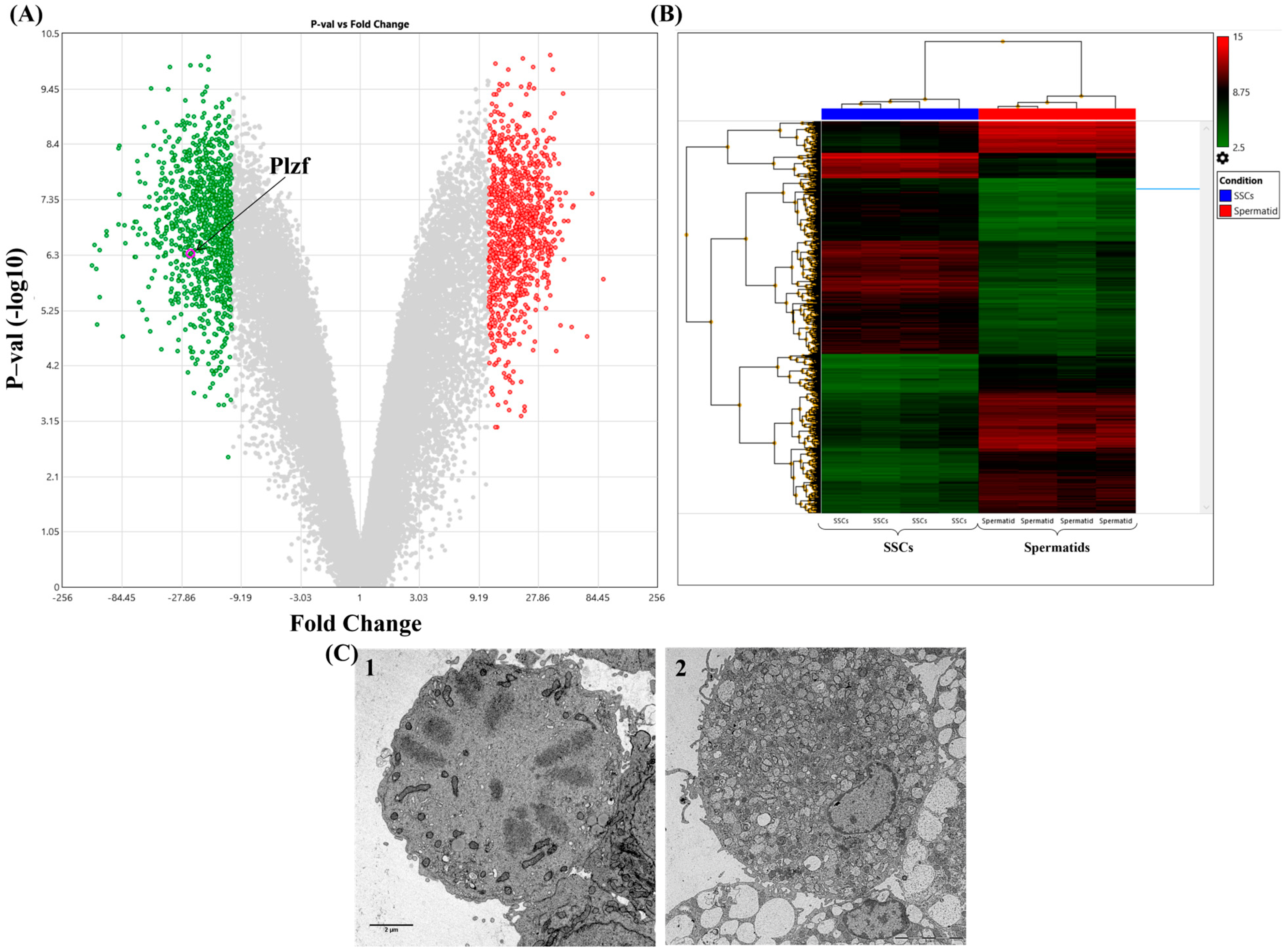 Cells 13 01930 g005 Cells 13 01930 g005