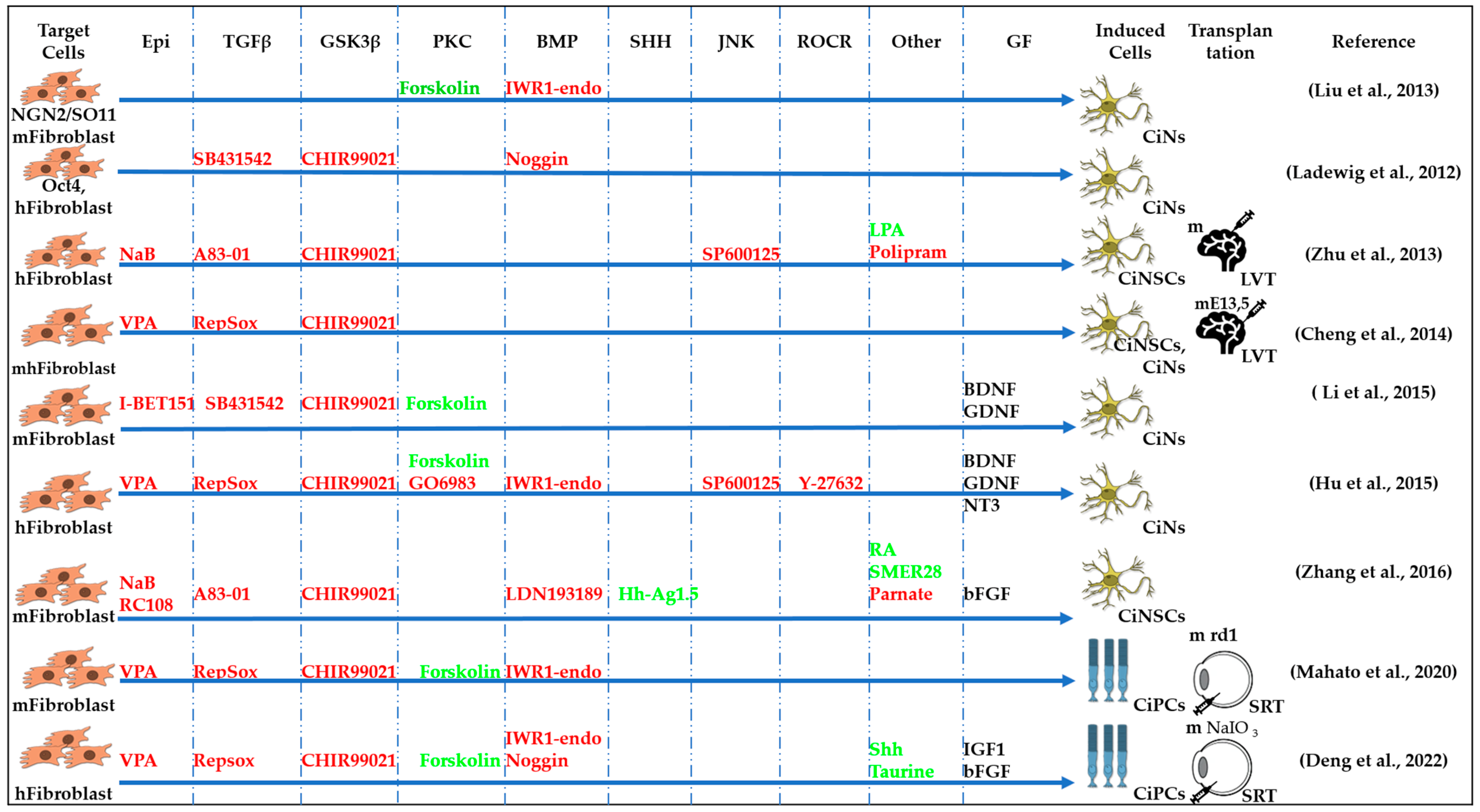 Cells 13 01931 g003 Cells 13 01931 g003