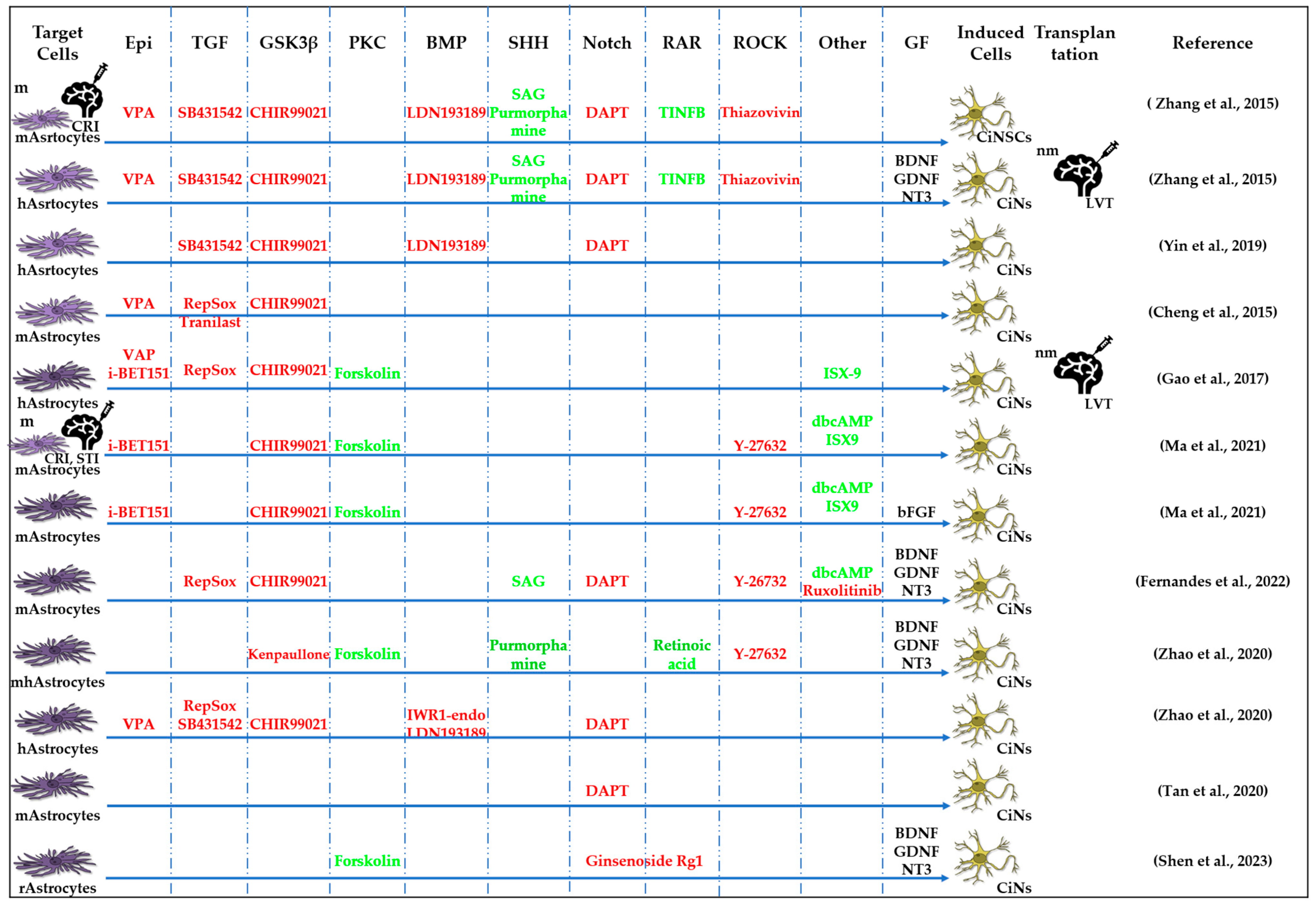 Cells 13 01931 g004 Cells 13 01931 g004