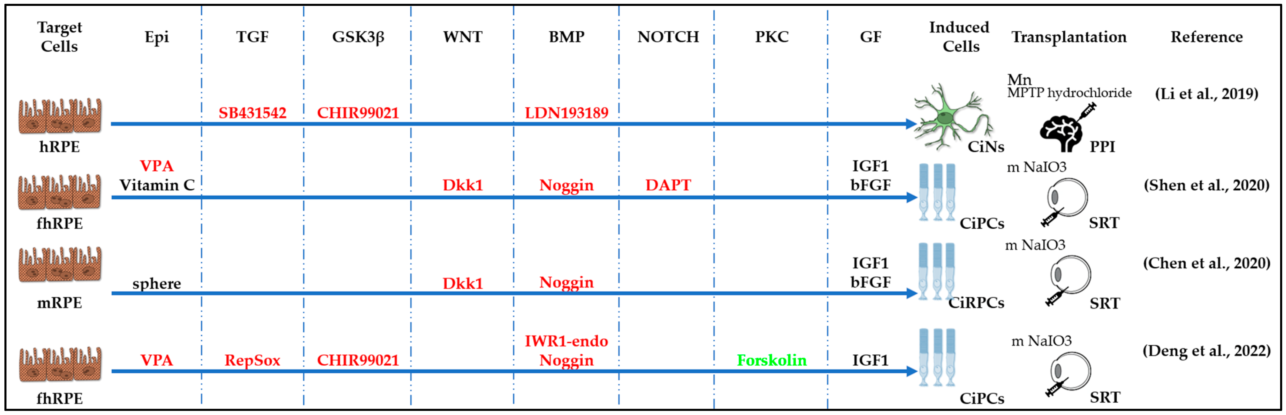 Cells 13 01931 g006 Cells 13 01931 g006