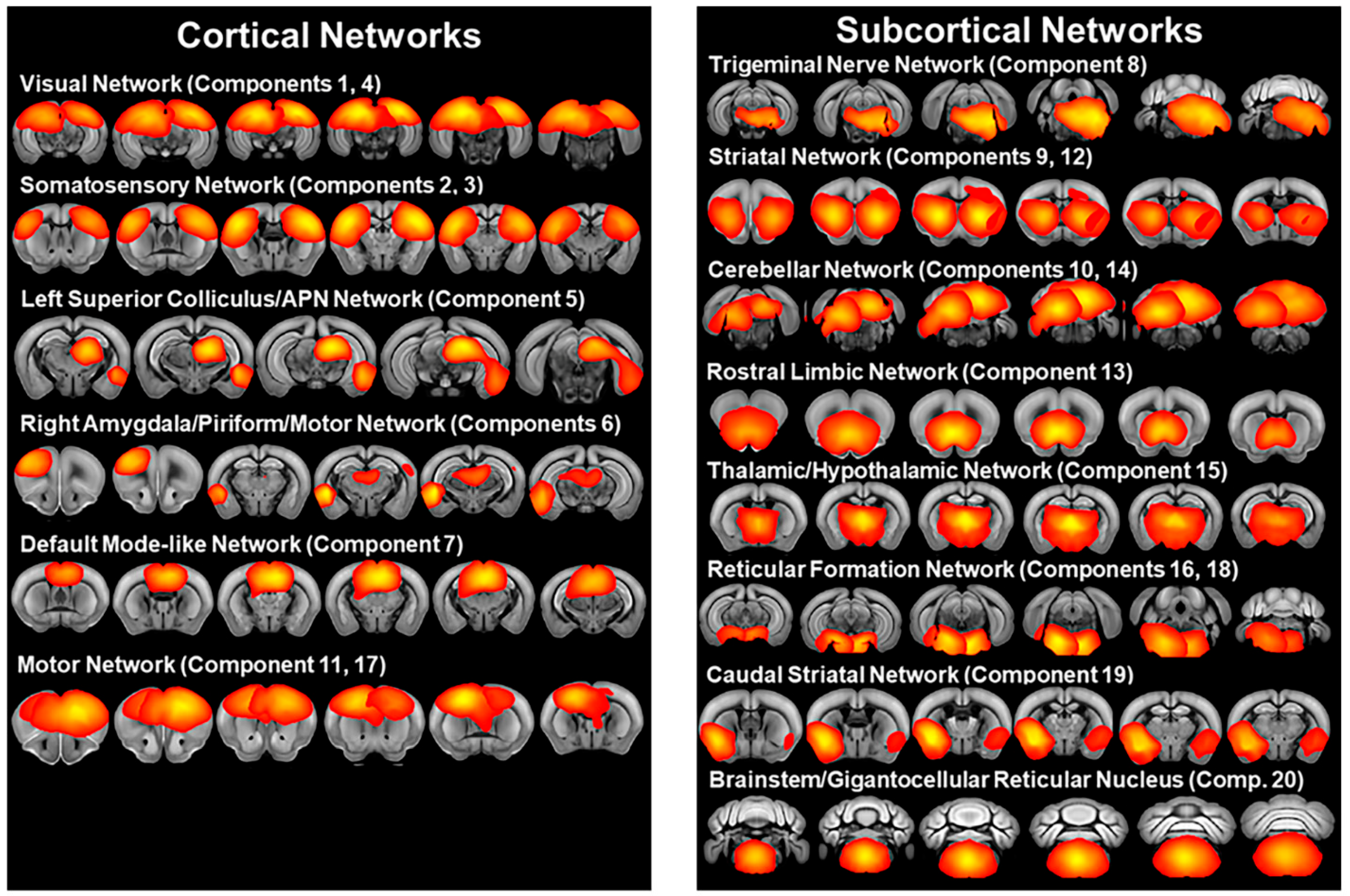 Environmental Enrichment Attenuates Repetitive Behavior and