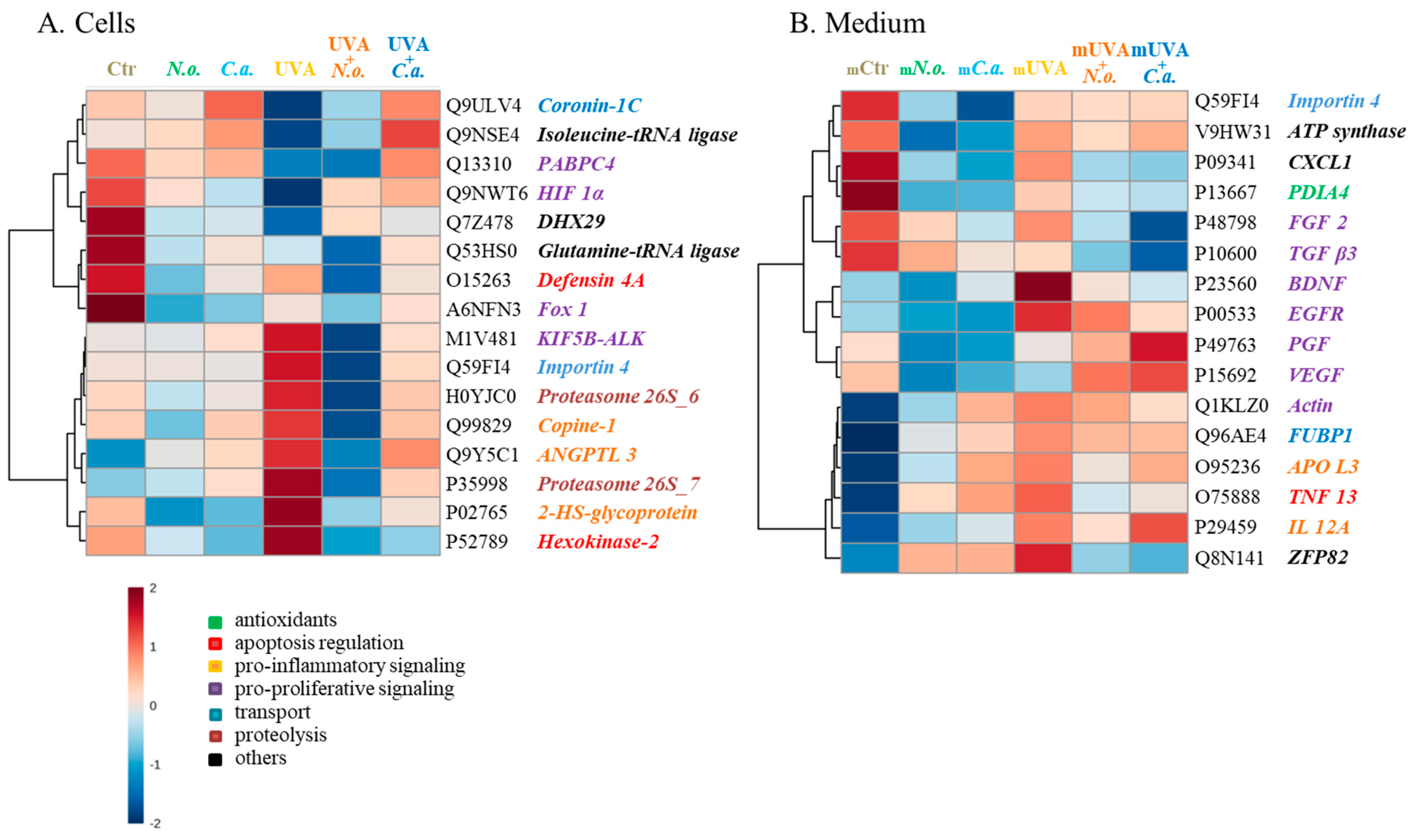 Cells 13 01934 g004 Cells 13 01934 g004