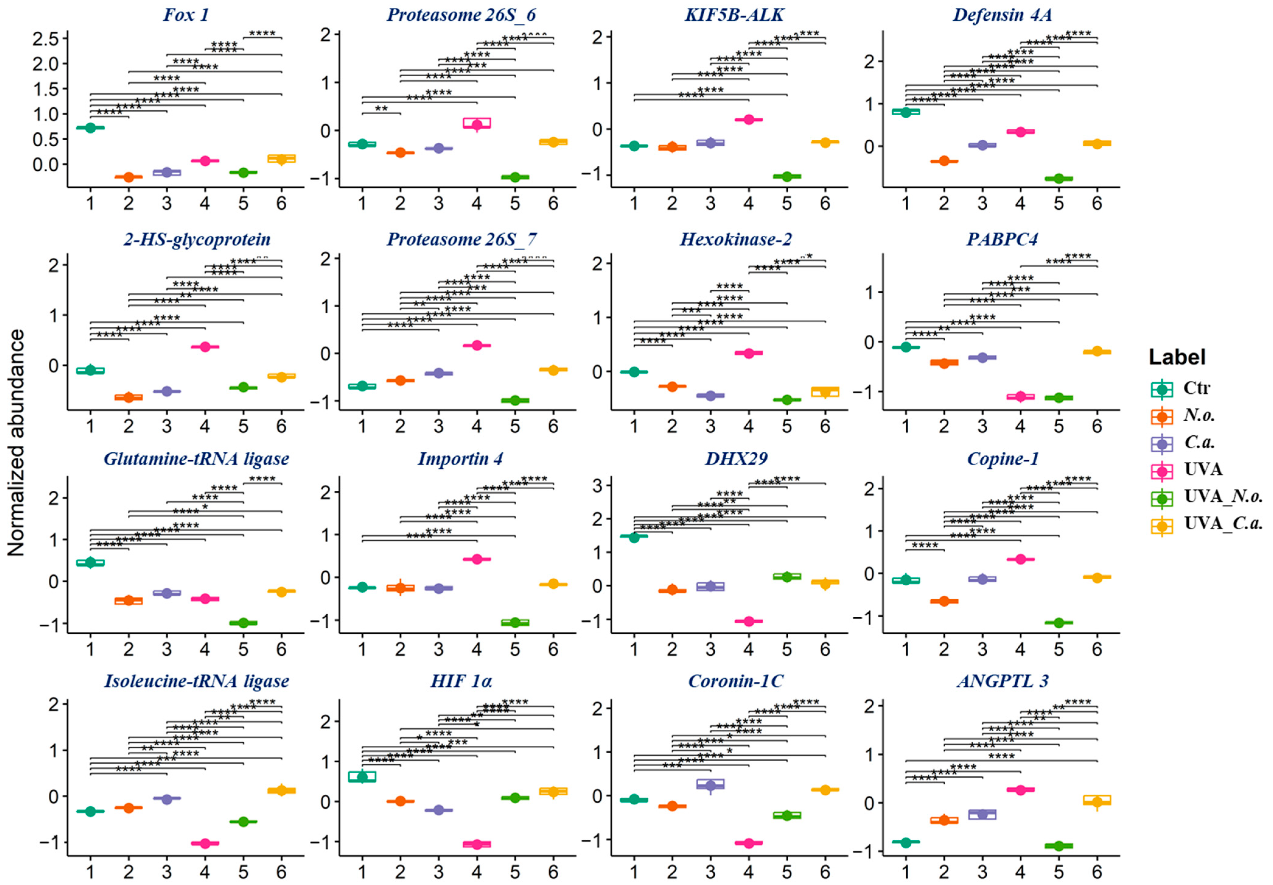 Cells 13 01934 g005 Cells 13 01934 g005