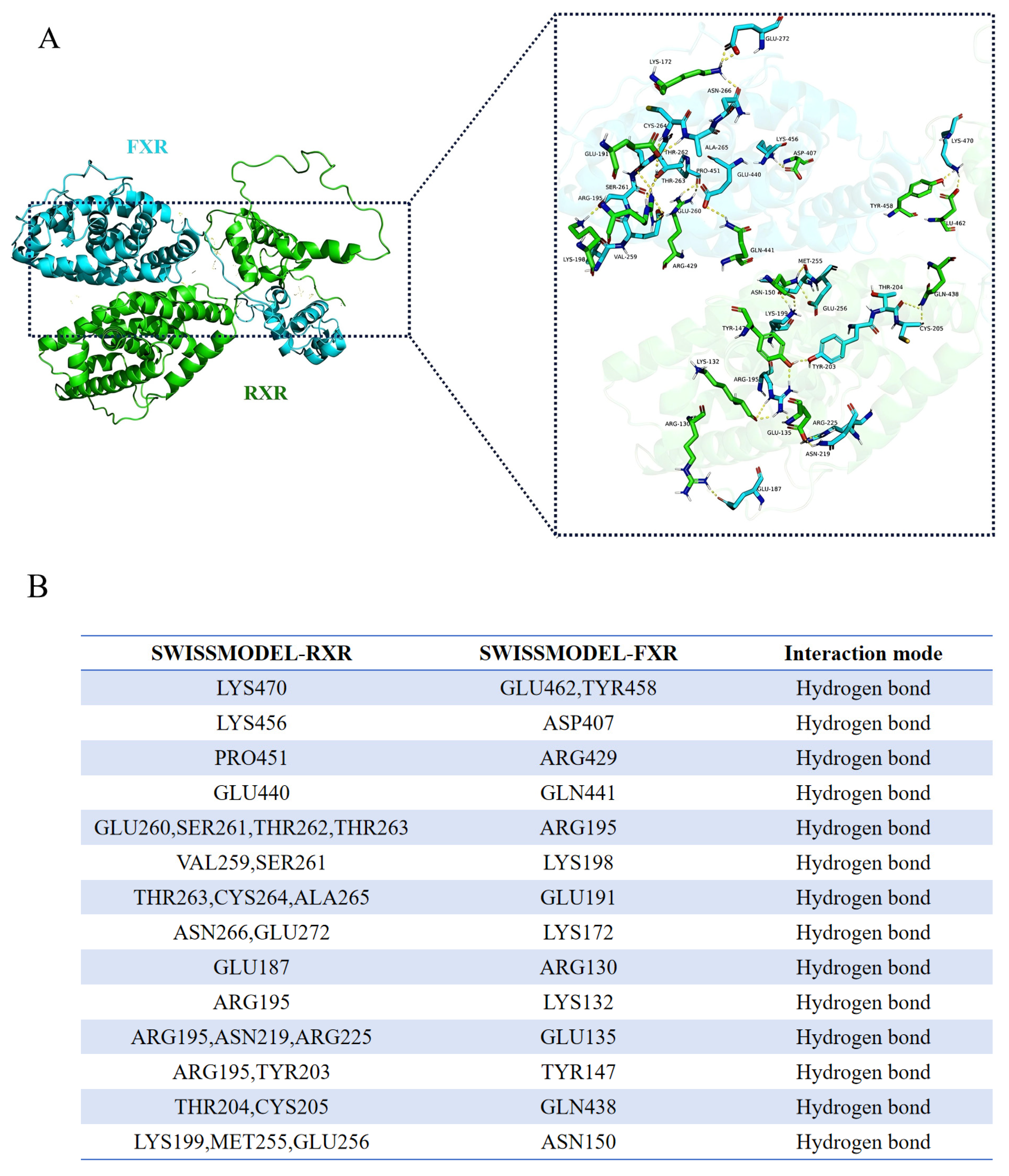 Cells 13 01949 g005