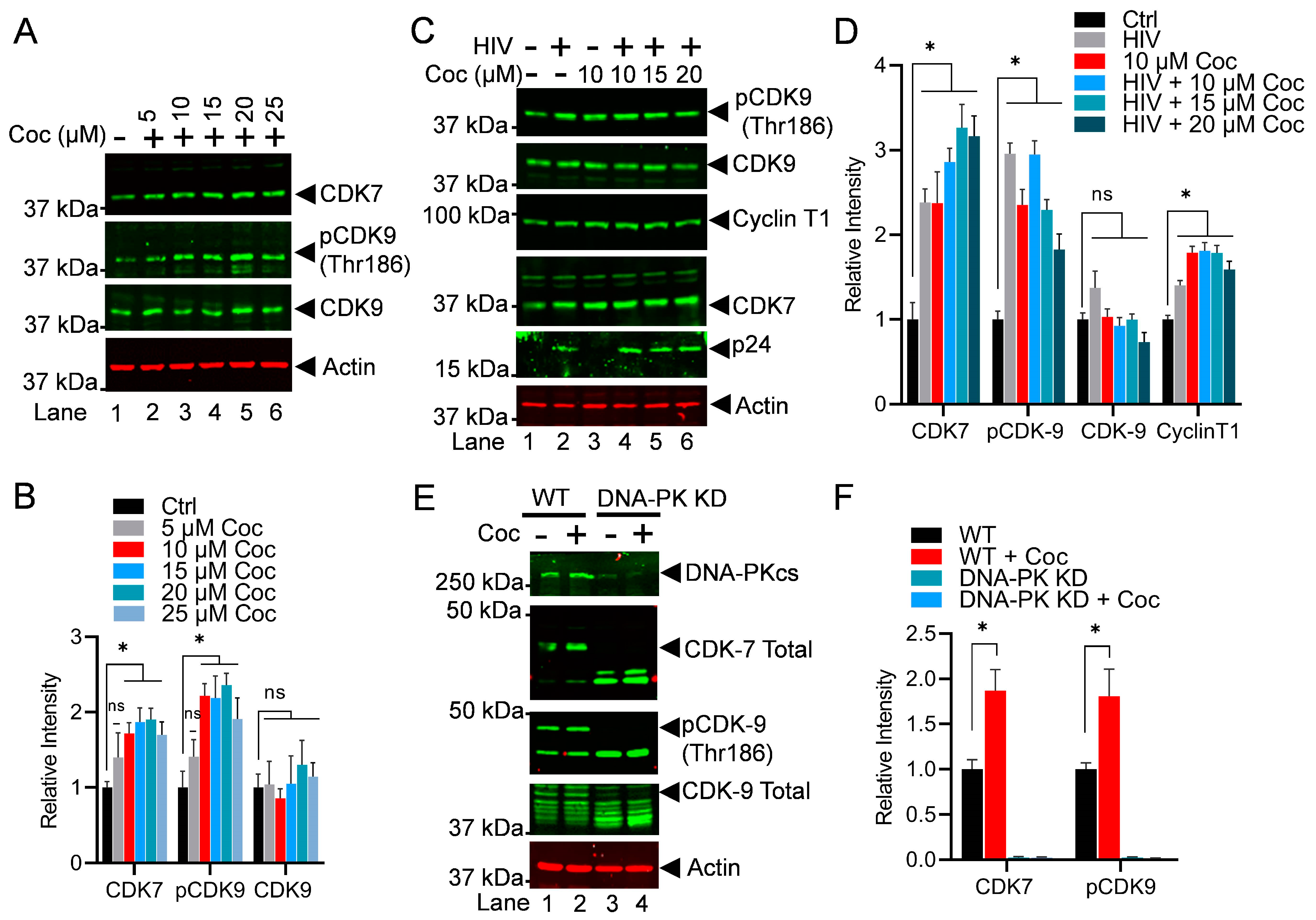 Cells 13 01950 g007 Cells 13 01950 g007
