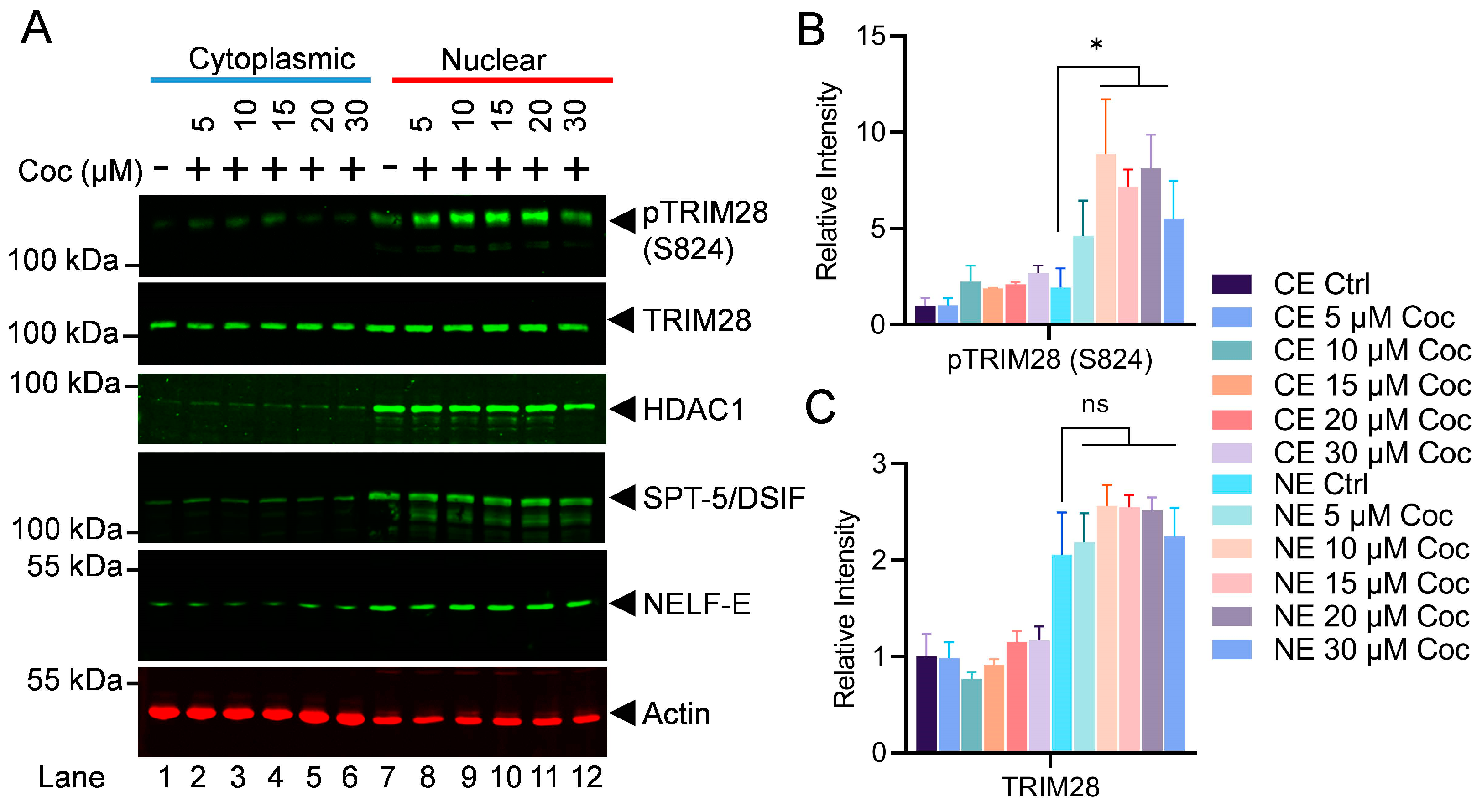 Cells 13 01950 g009 Cells 13 01950 g009