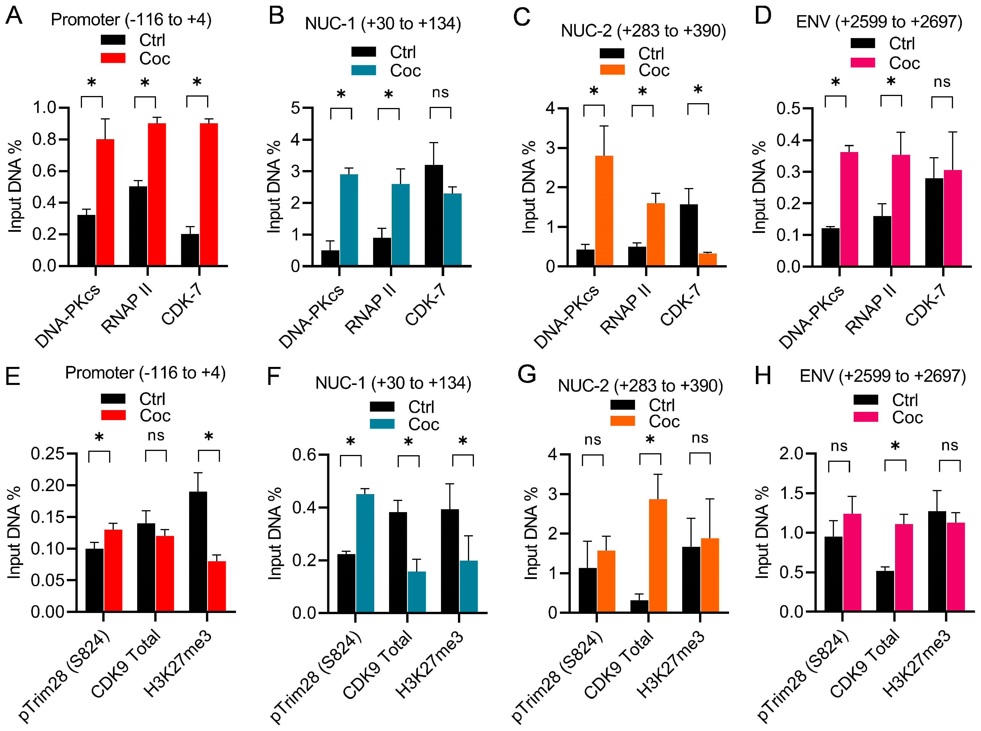 Cells 13 01950 g010 Cells 13 01950 g010