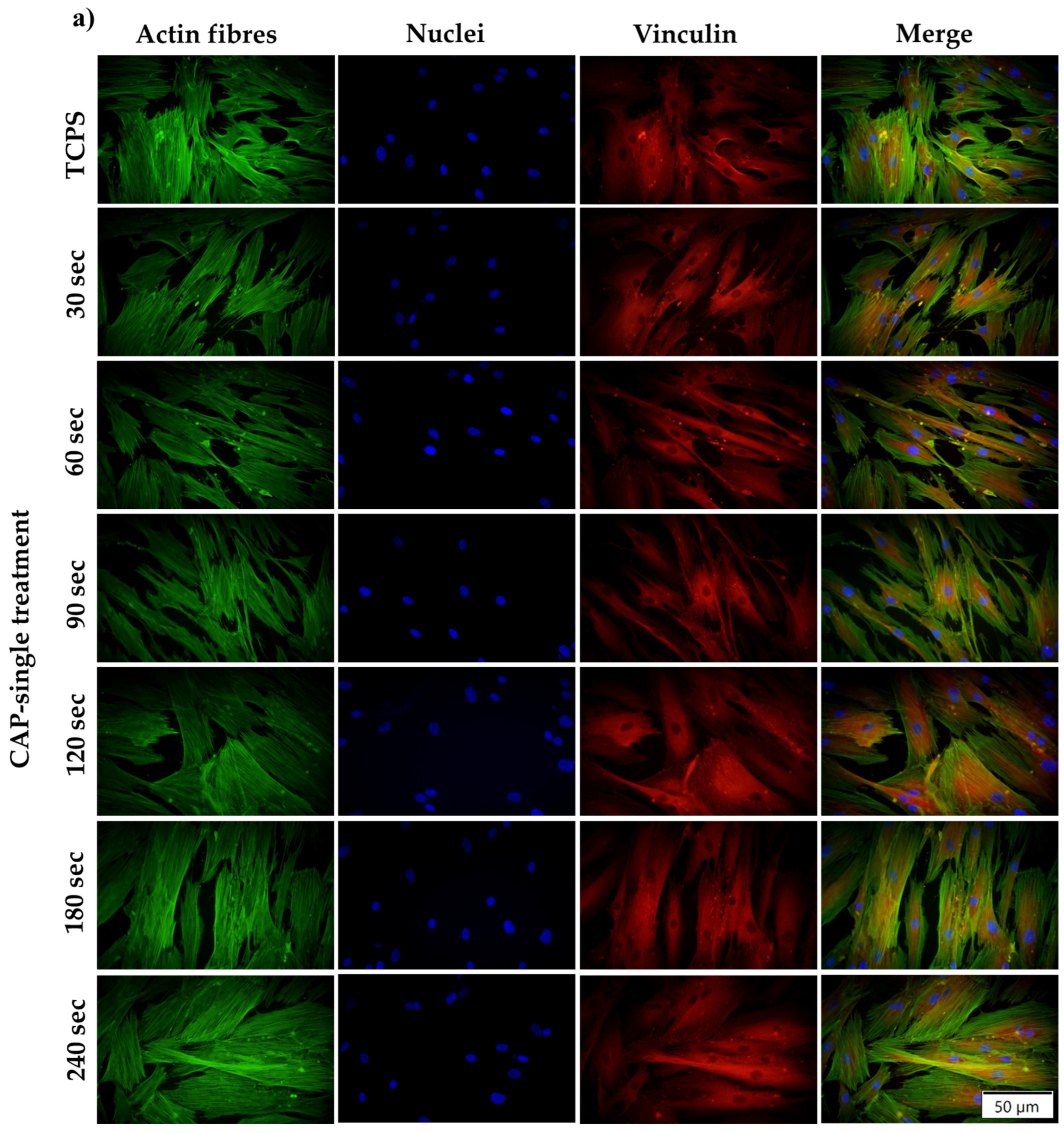 Cells 13 01970 g004a