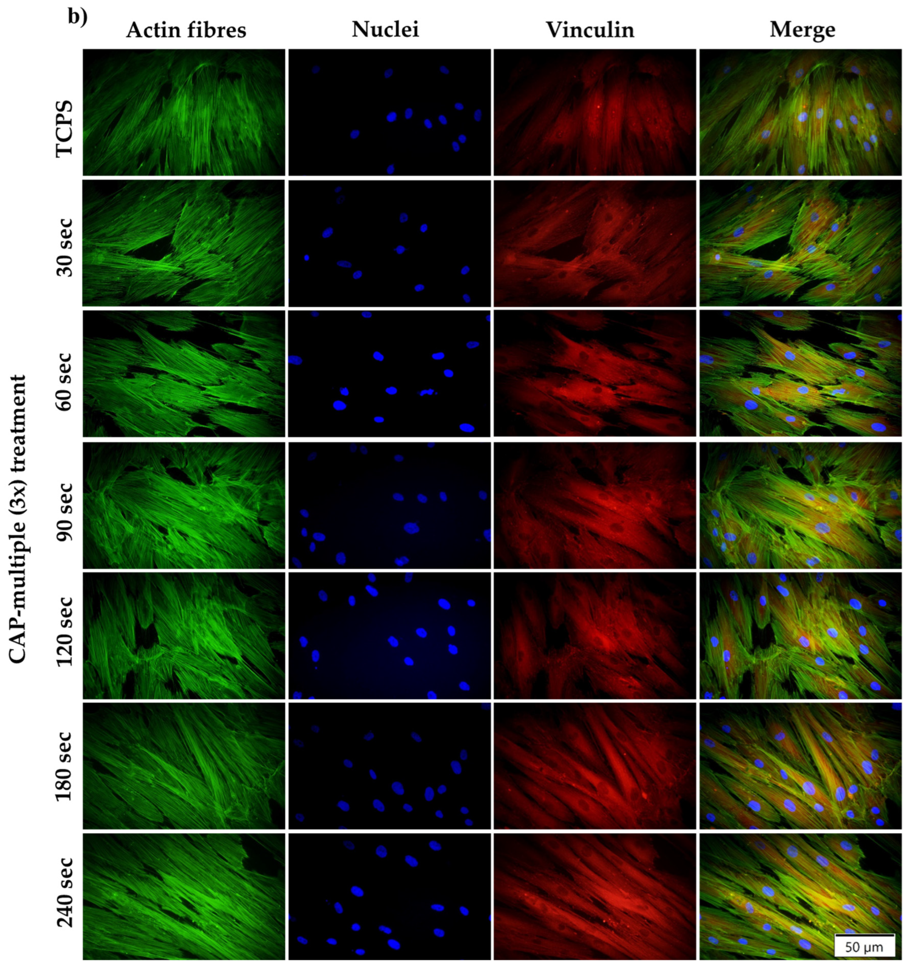 Cells 13 01970 g004b