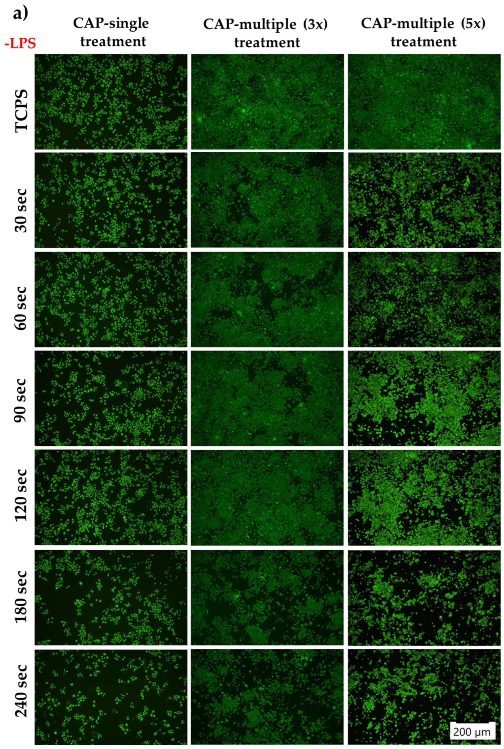 Cells 13 01970 g006a