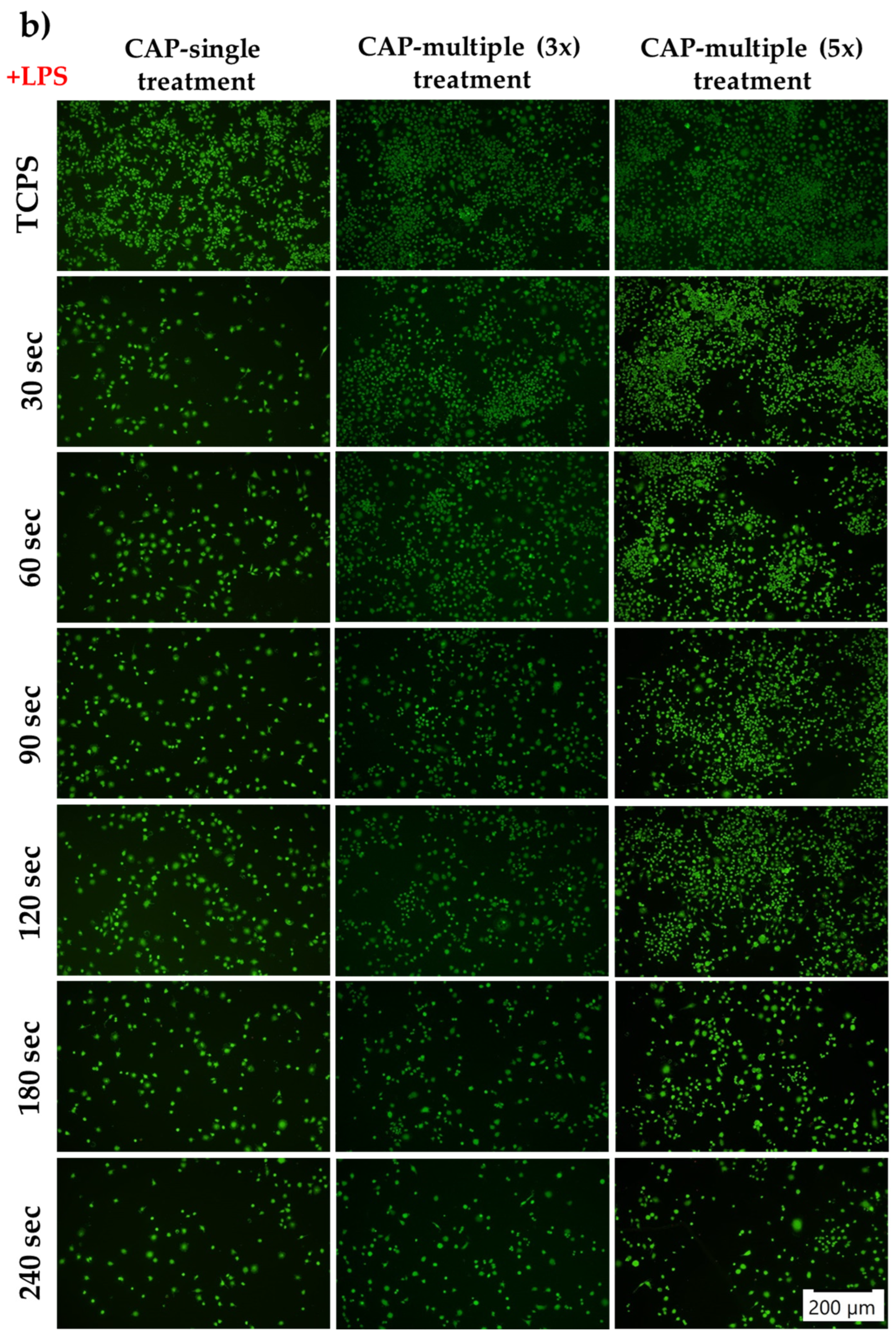 Cells 13 01970 g006b