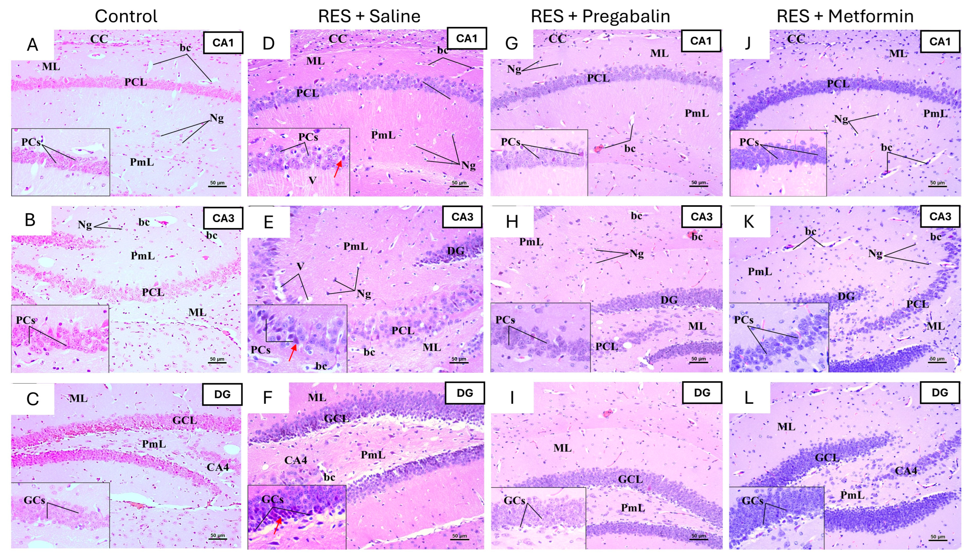 Cells 13 01986 g009 Cells 13 01986 g009